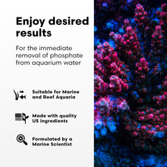 Brightwell Aquatics Phosphat-E being dosed near the protein skimmer.