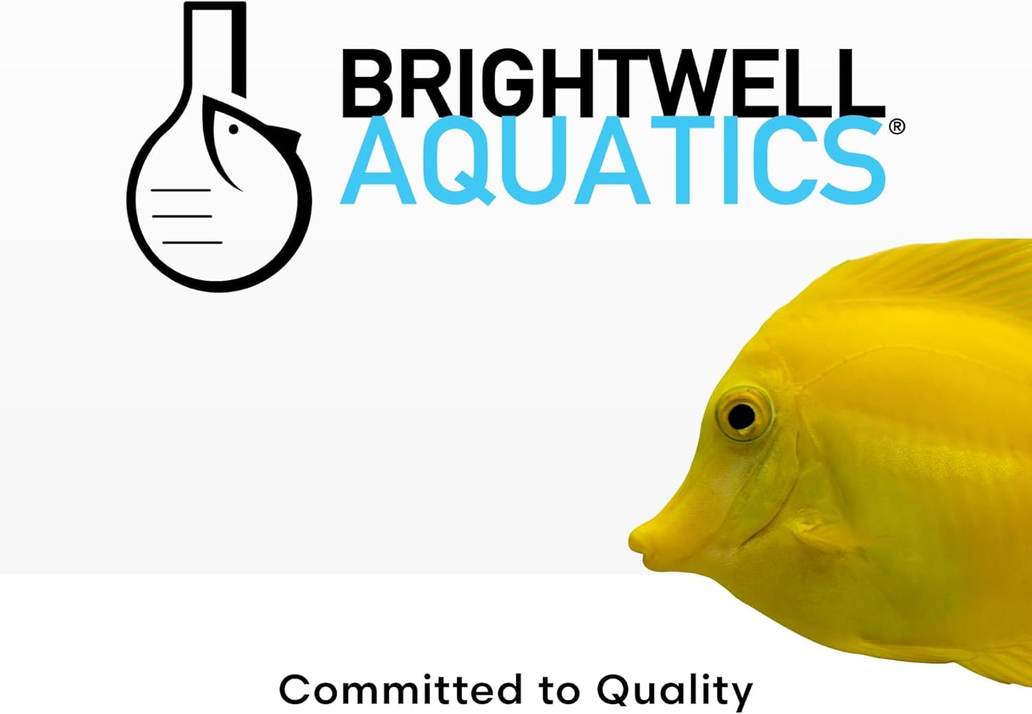 Brightwell Aquatics Phosphat-E Made in USA badge signals quality and reliability.