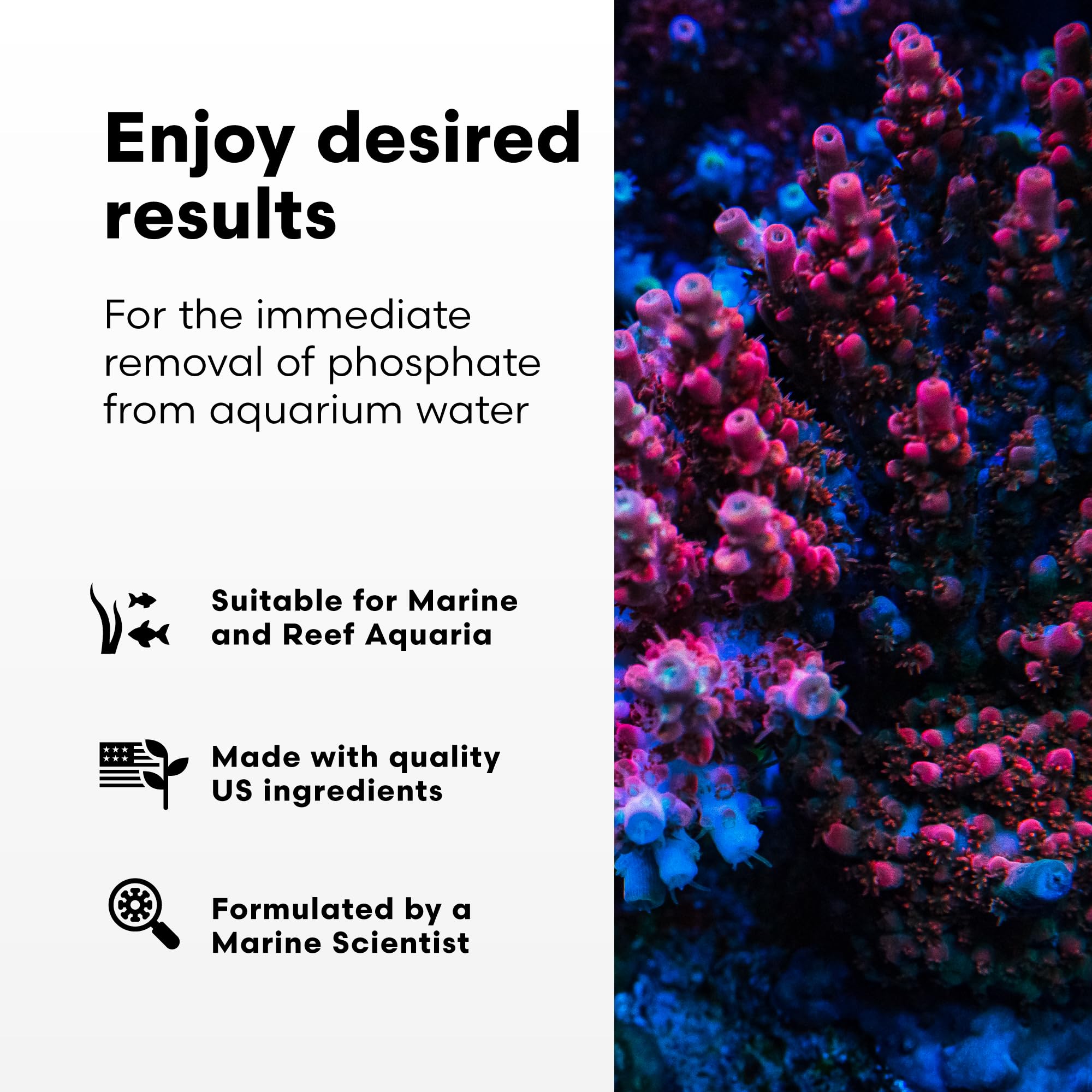 Phosphat-E being added near filtration for efficient phosphate elimination.