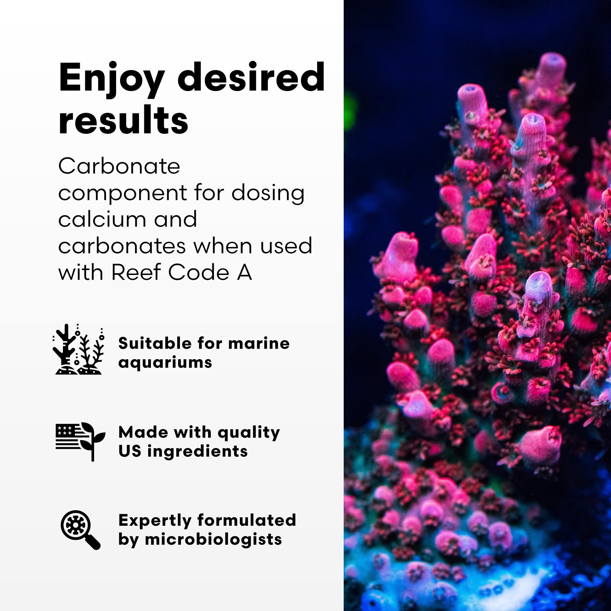 Close-up of Reef Code B label highlighting purity and no contaminants