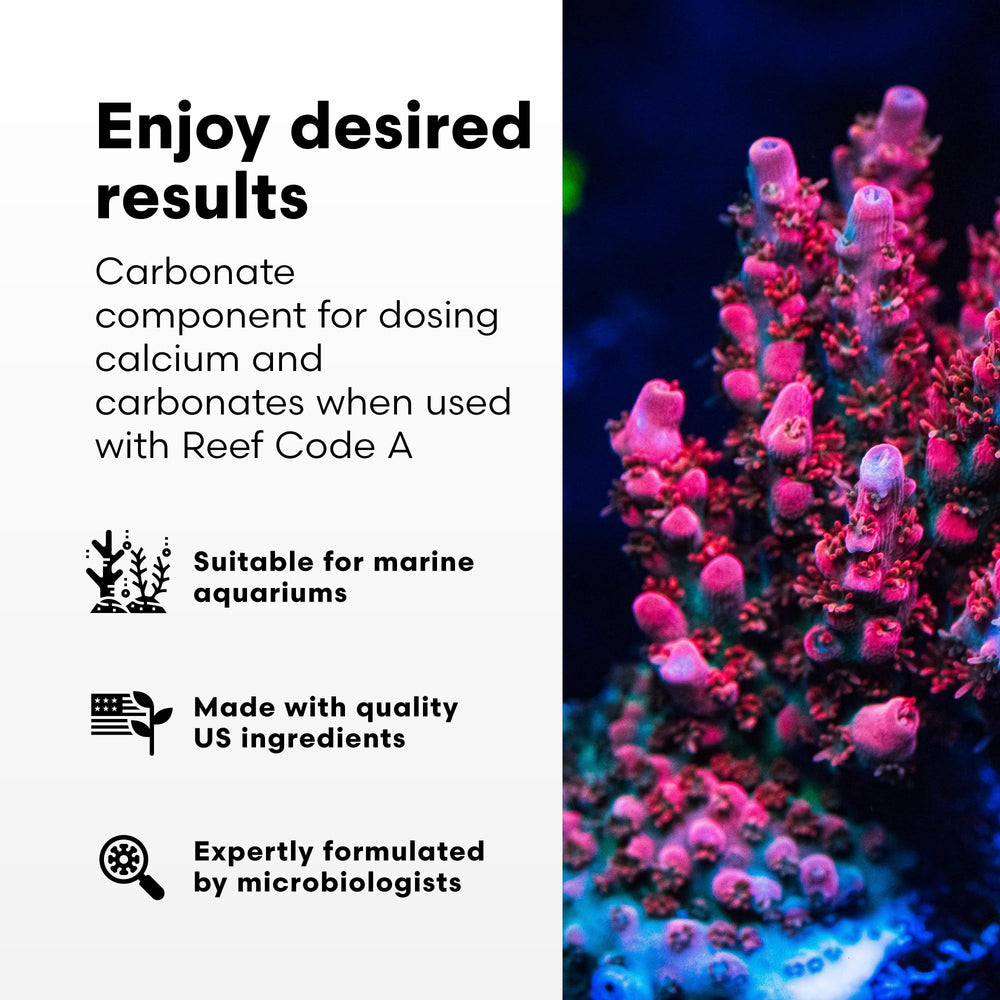 Close-up of Reef Code B label highlighting purity and no contaminants