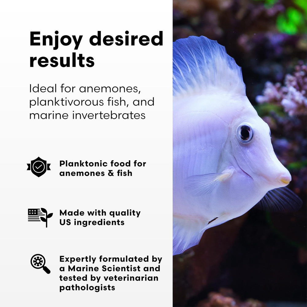 Anemones thrive visually with ReefBlizzard-A during targeted feeding.