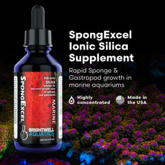 Brightwell SpongExcel dosing precision highlighting gradual silica enrichment