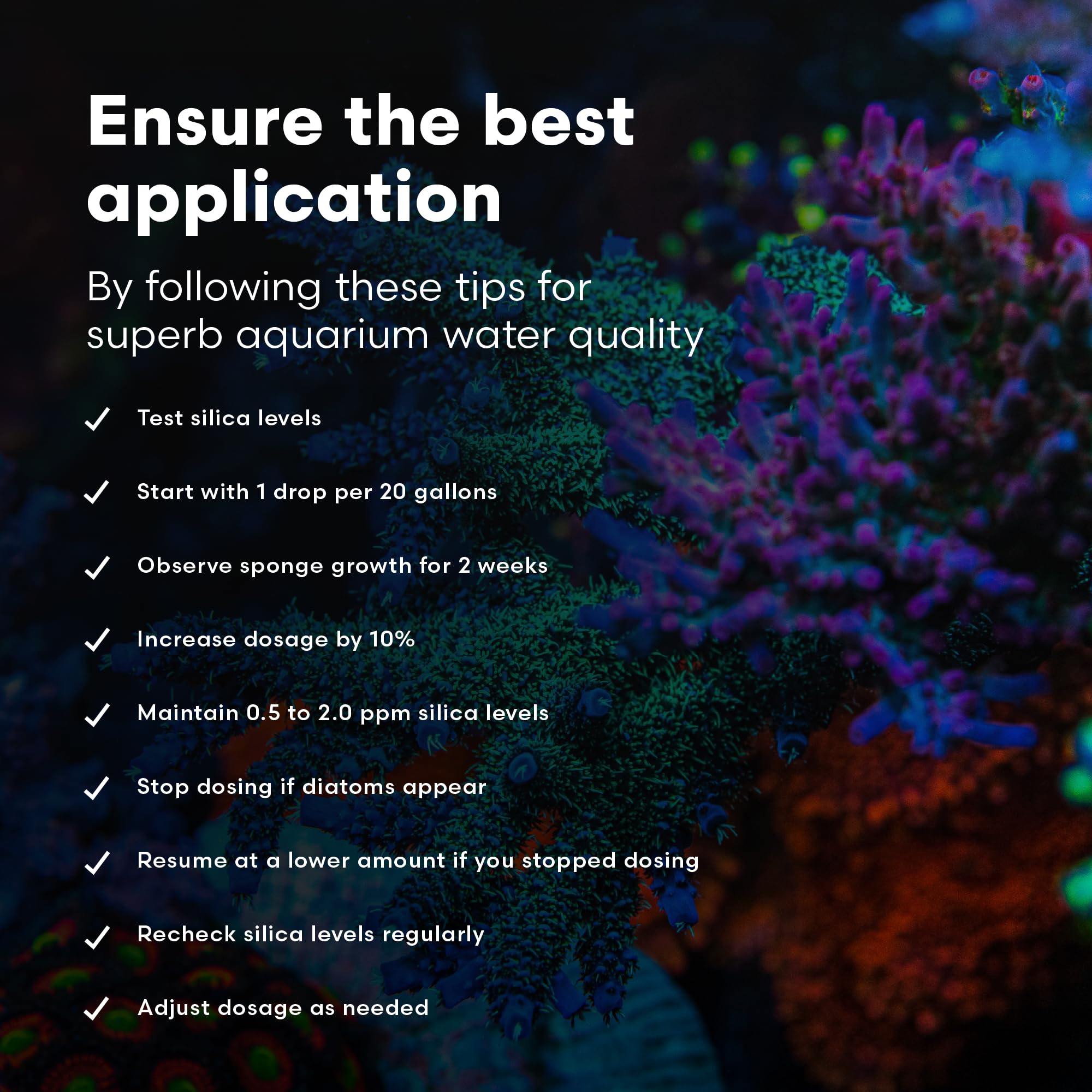 Brightwell SpongExcel in a marine aquarium setup for care routines