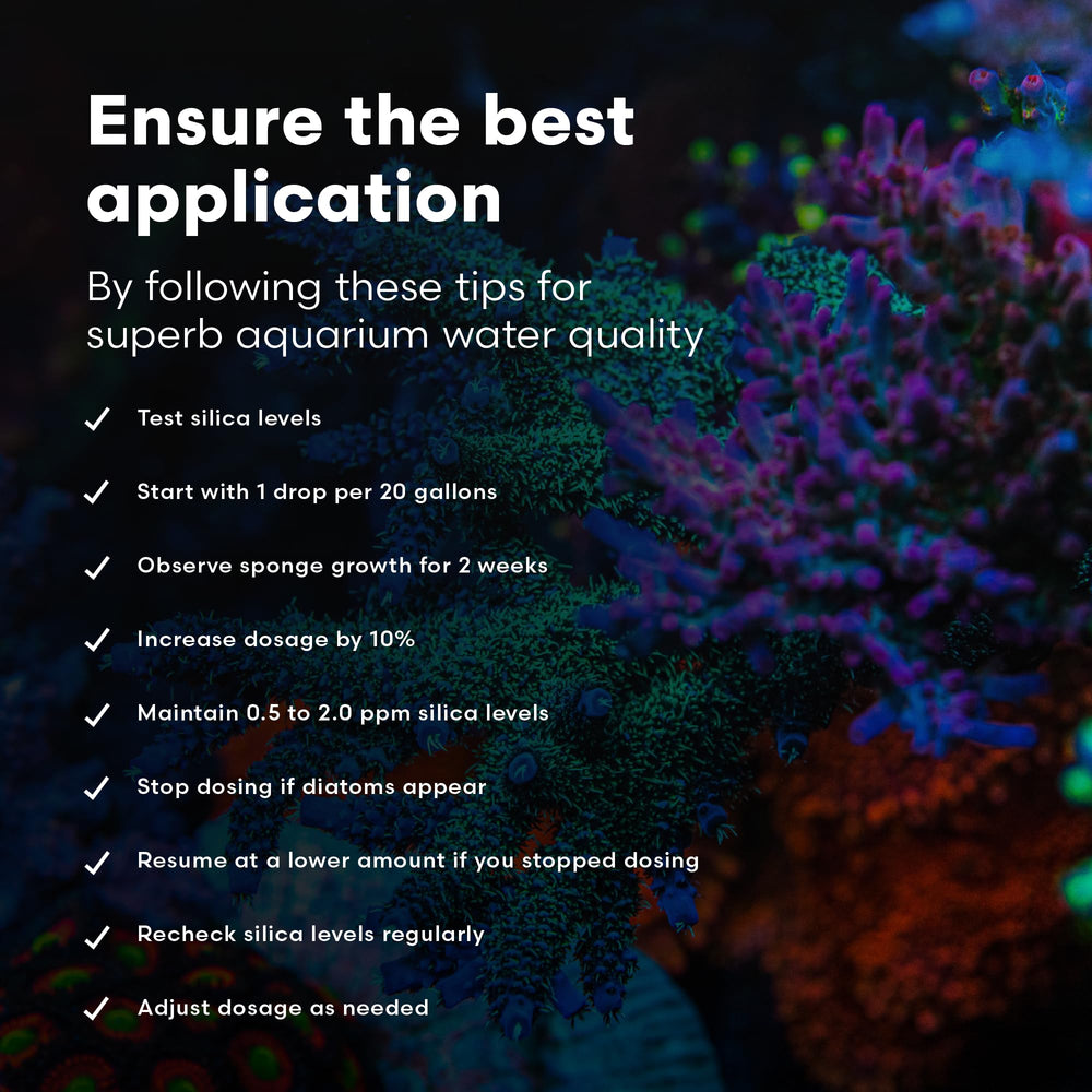 Brightwell SpongExcel in a marine aquarium setup for care routines
