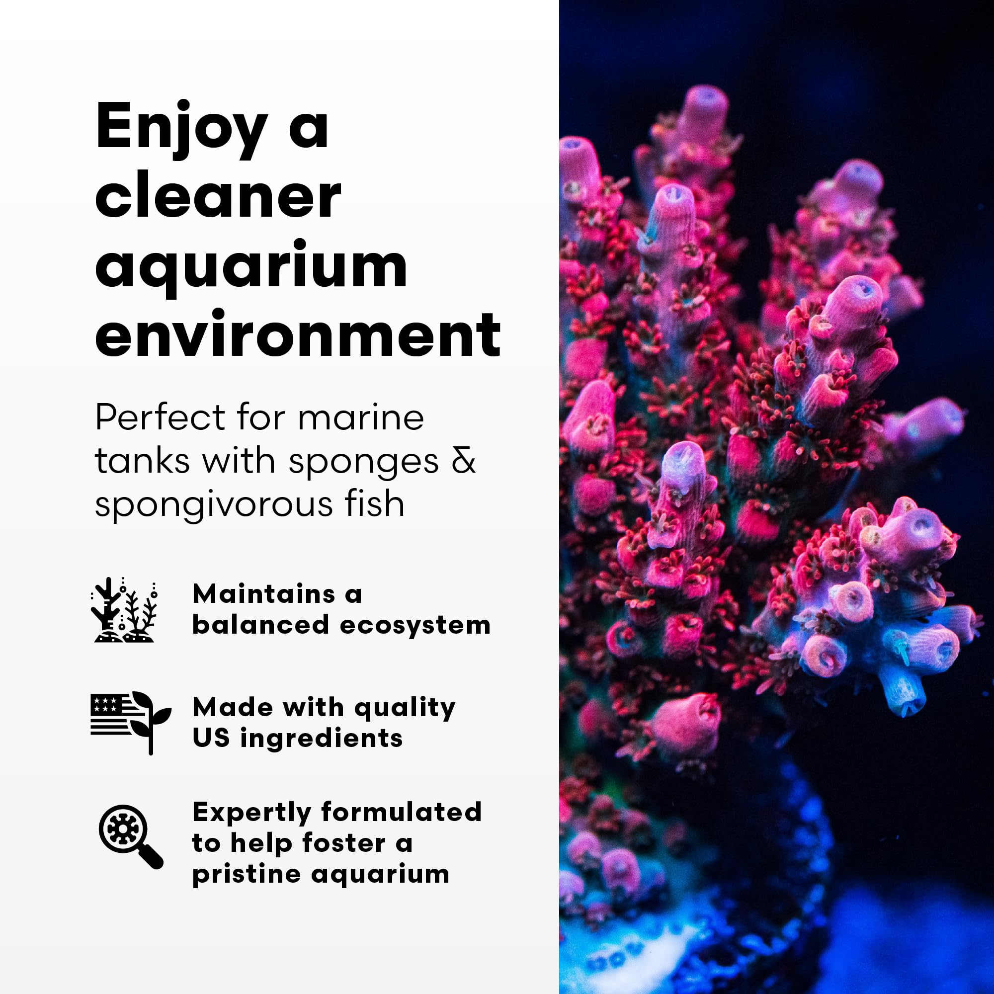 Brightwell SpongExcel sponge growth close-up in reef tank context