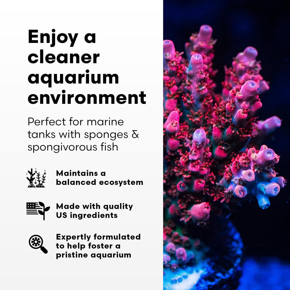 Brightwell SpongExcel sponge growth close-up in reef tank context