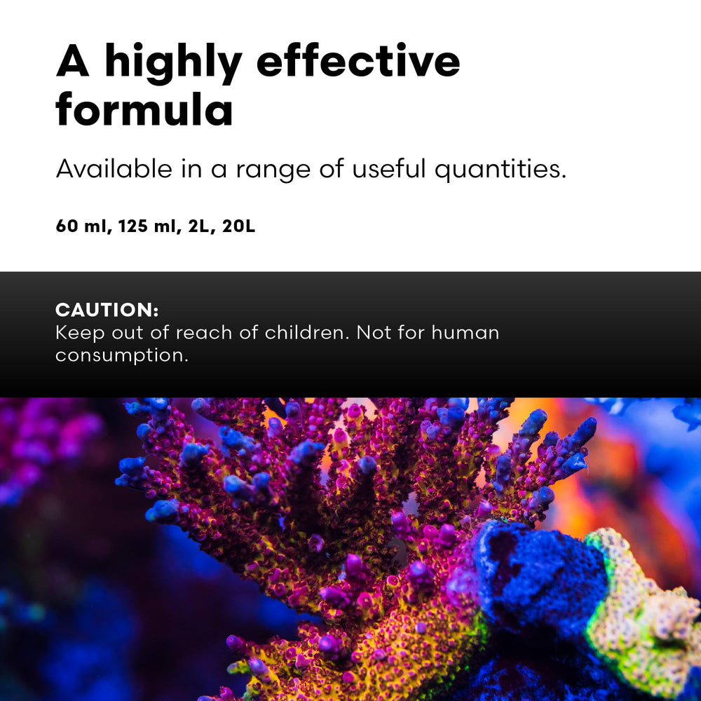 Brightwell SpongExcel supports spongivorous fish in aquarium environments