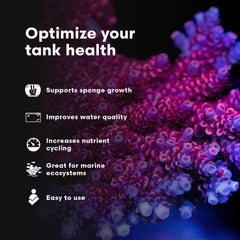 Brightwell SpongExcel demonstrates water quality impact in marine aquariums