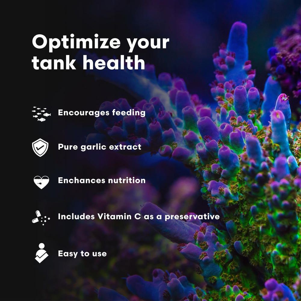 Close-up of fish showing improved feeding response with GarlicPower.