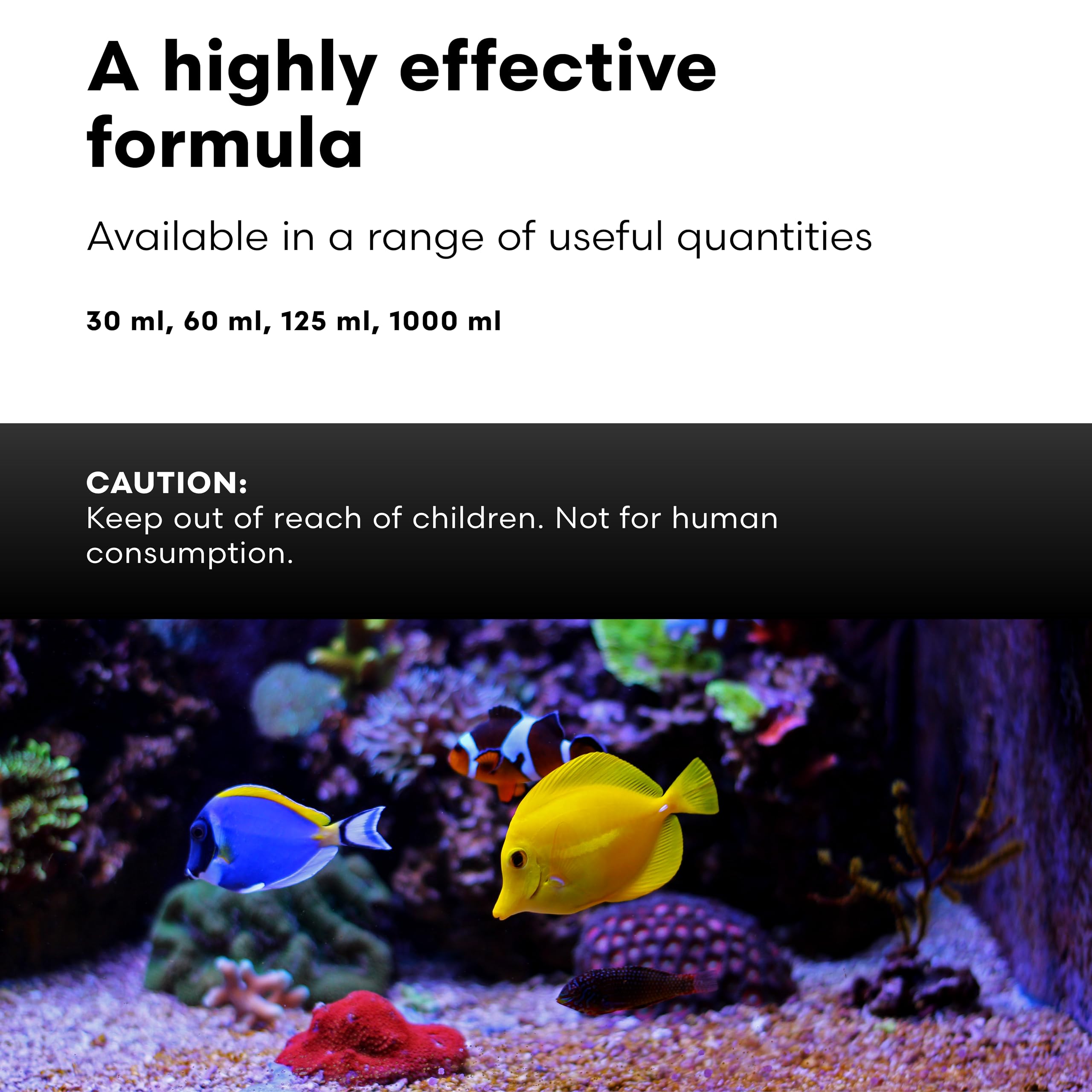 Reef tank color and vitality improved with GarlicPower supplementation.