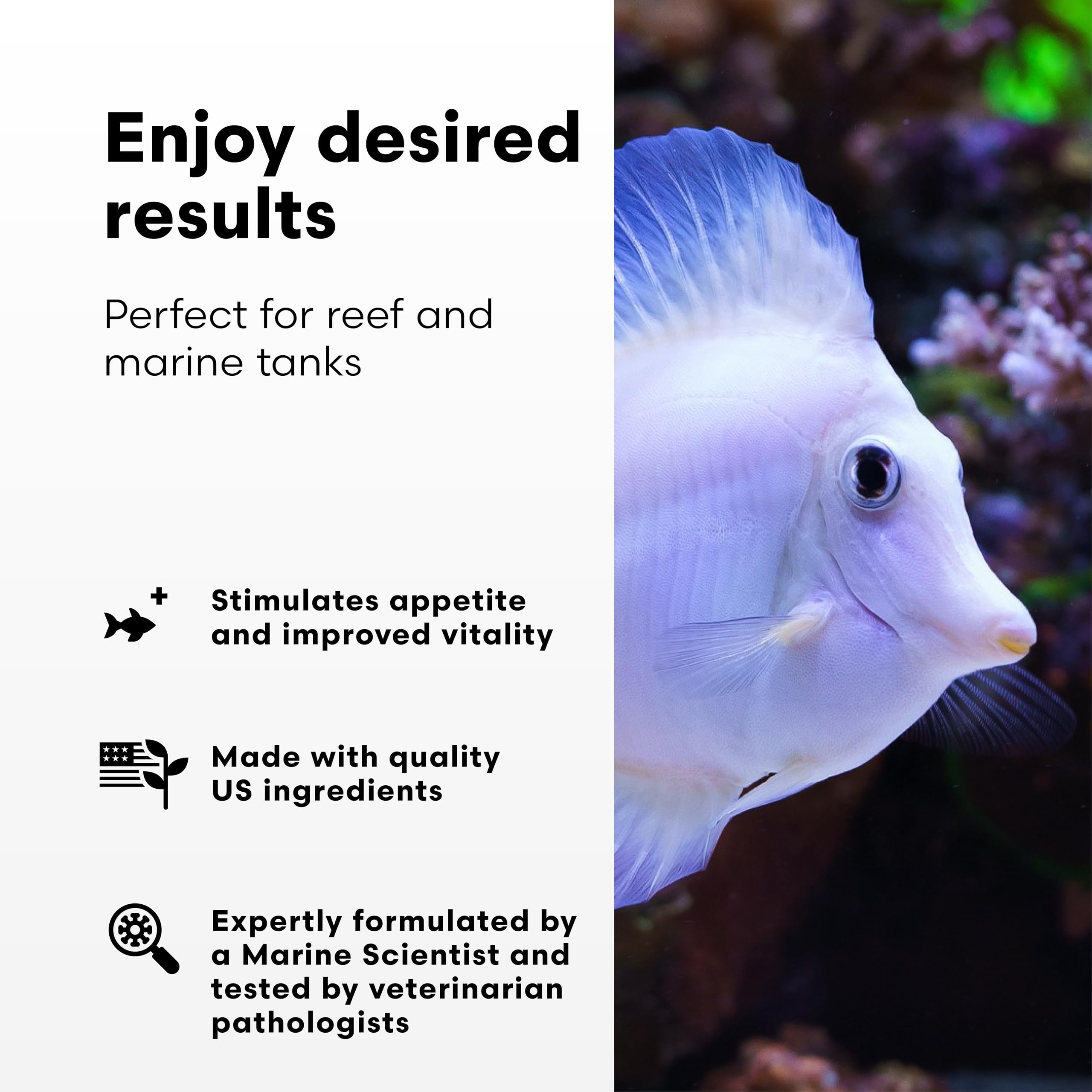GarlicPower added to water to boost dietary intake in marine tanks.