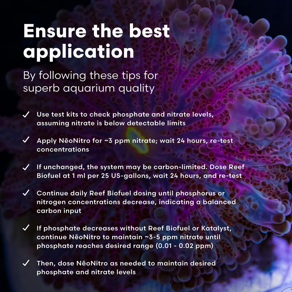 NeoNitro in a reef tank supports coral coloration and health