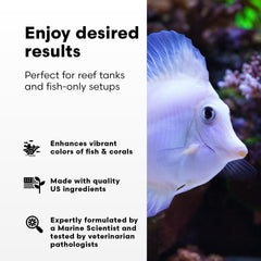 Brightwell Aquatics Replenish measured dosing setup showing precise addition to water.