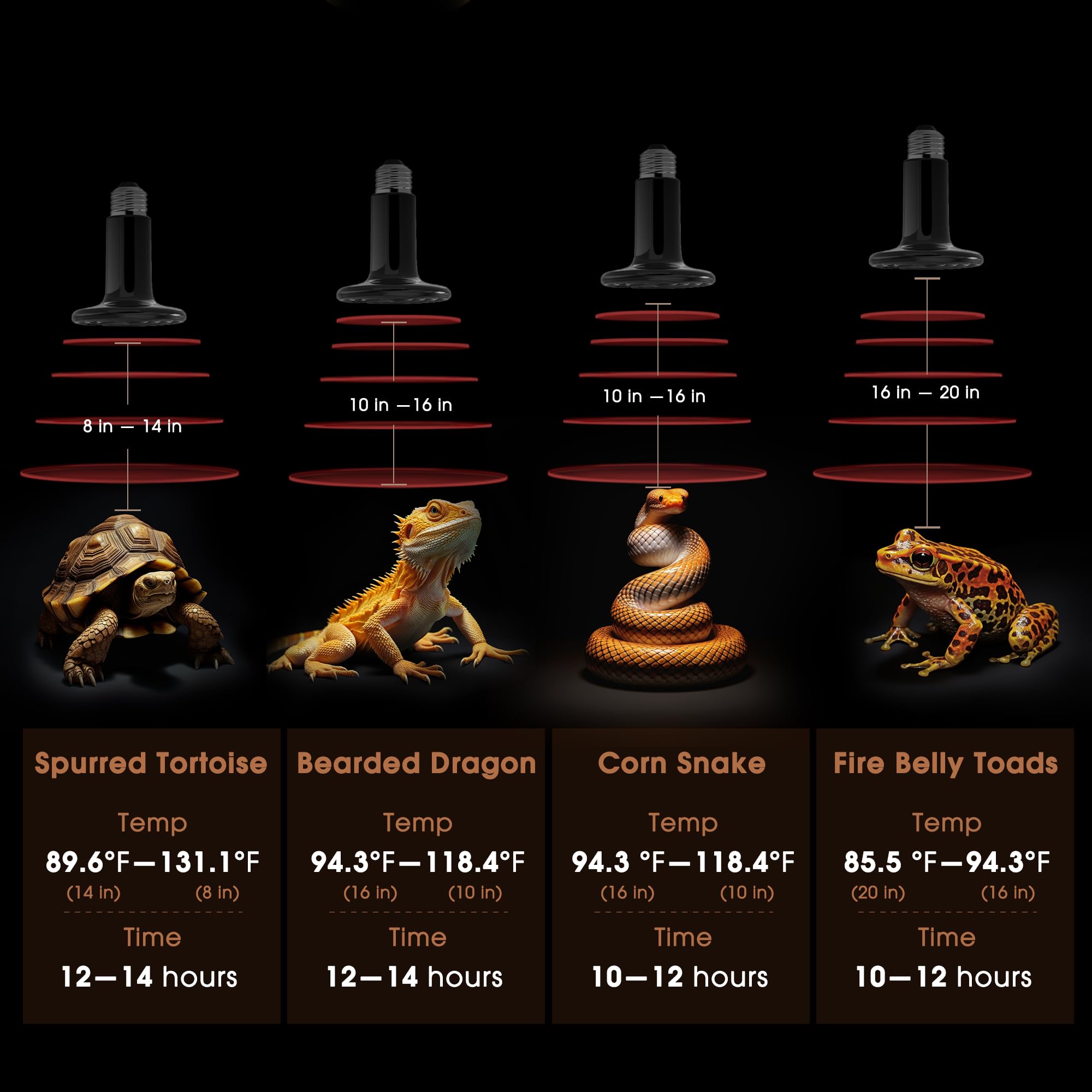 Durable ceramic construction close-up emphasizes long lifespan up to 10,000 hours