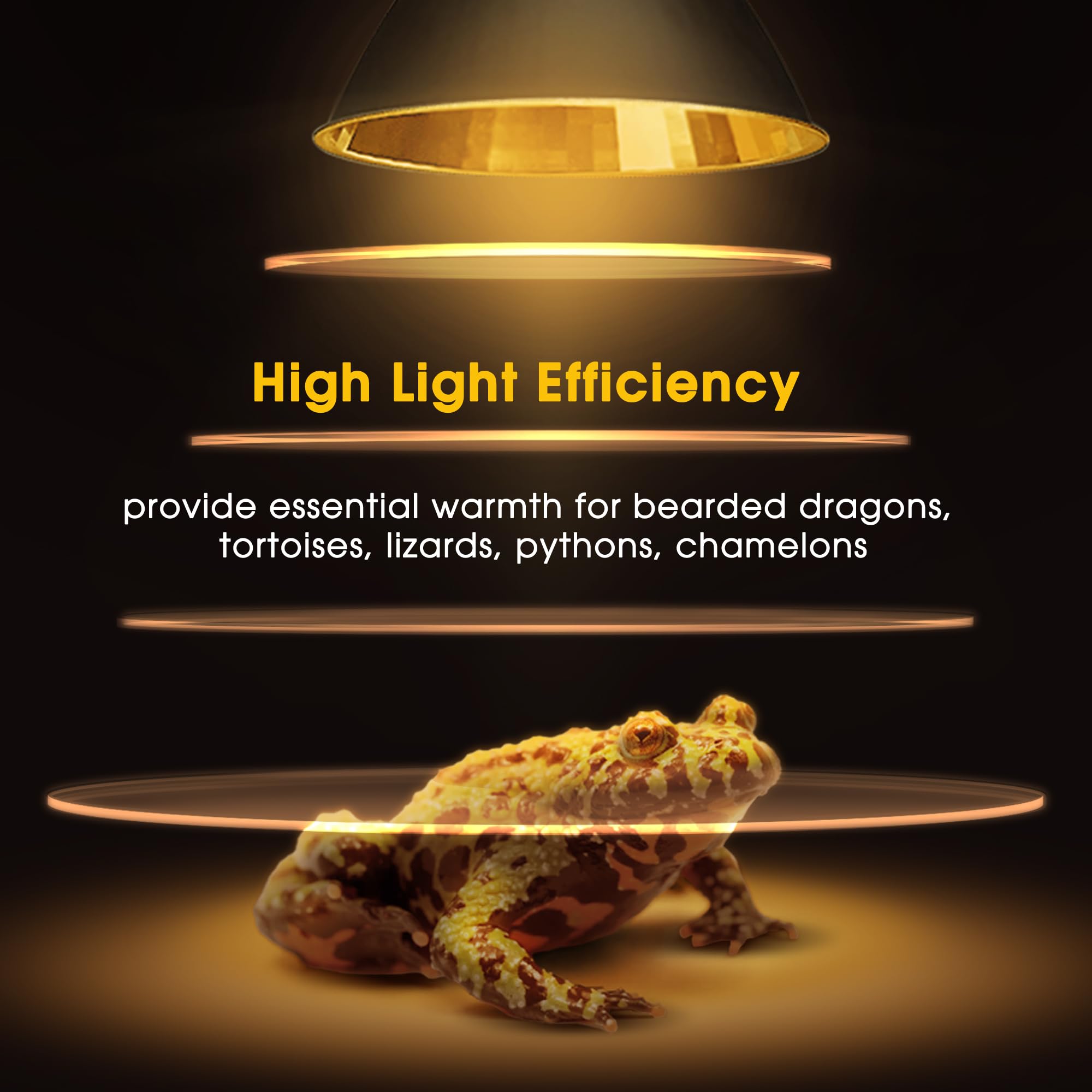 Briignite heat lamp suitable for bearded dragons and geckos in tanks