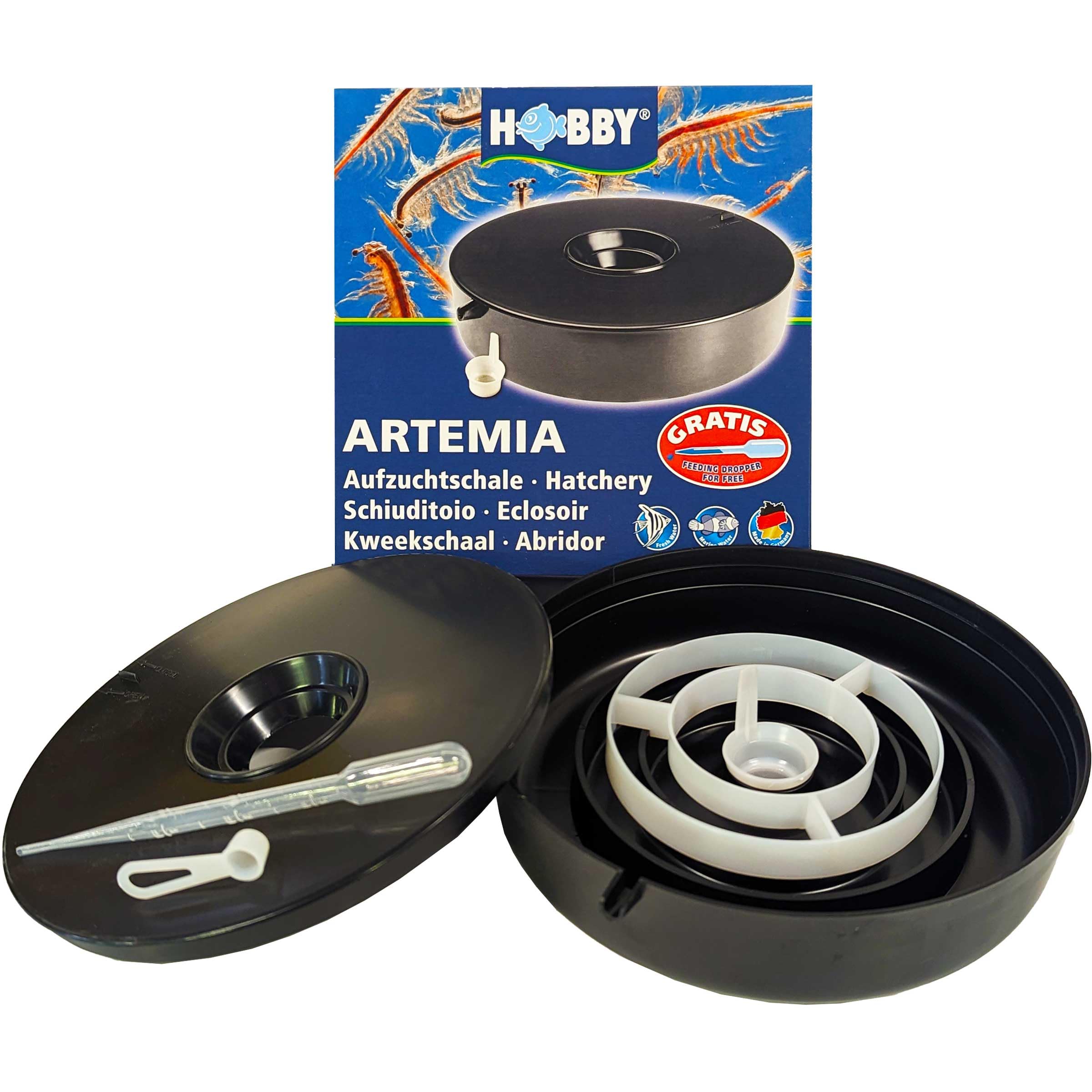 Brine Shrimp Direct hatchery dish front view demonstrates simple, beginner-friendly setup.