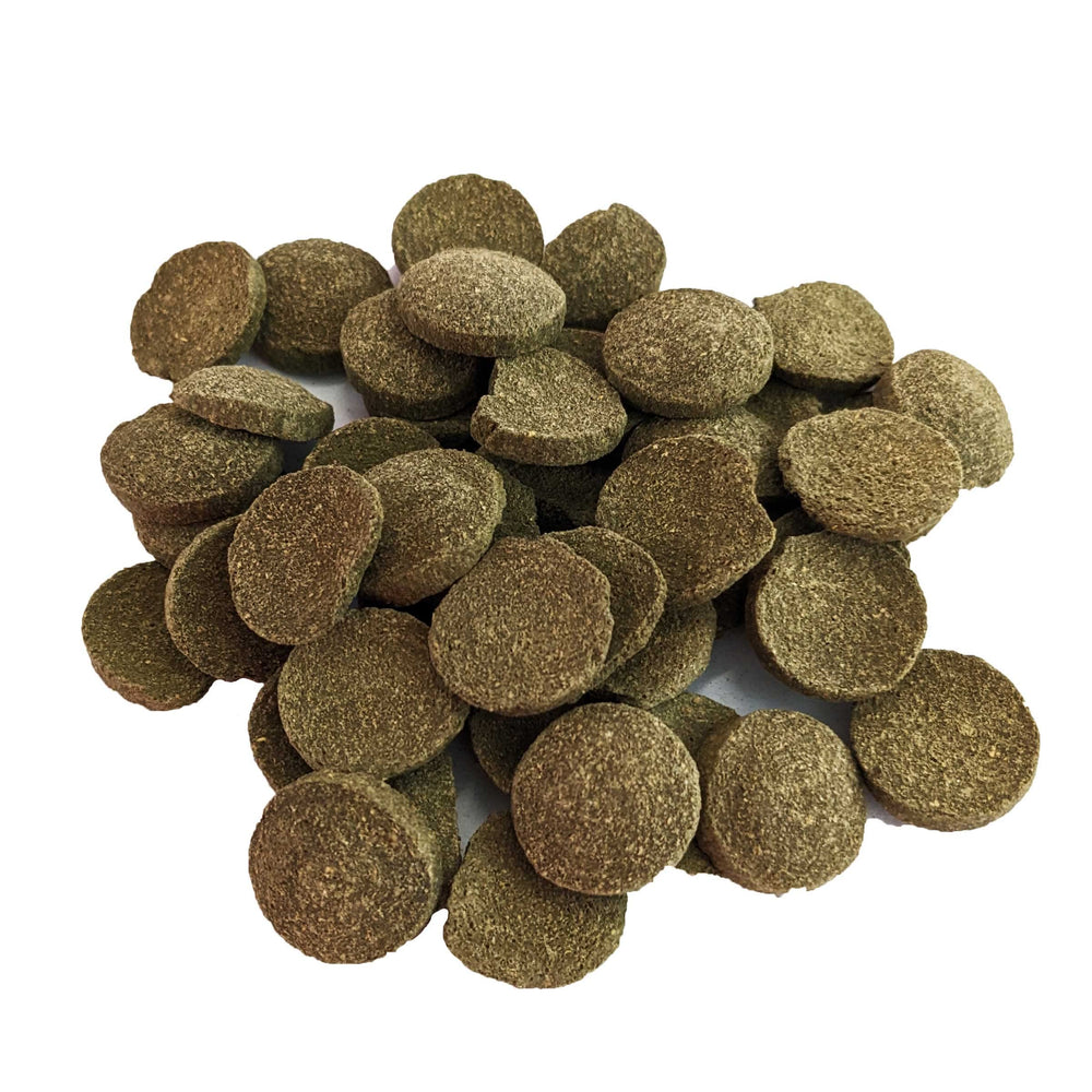 Brine Shrimp Direct PhytoDisc Plus spirulina wafers close-up reveals texture and nutrient-dense ingredients for bottom feeders.