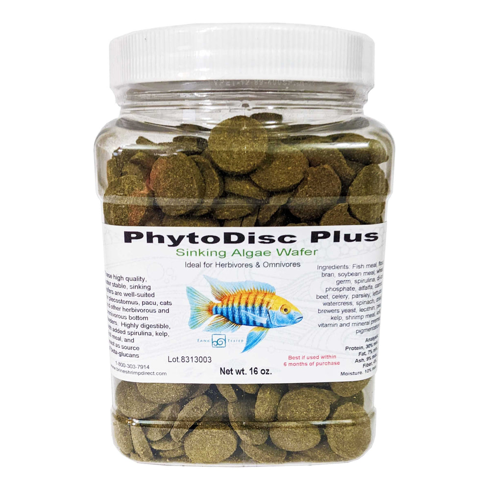 Brine Shrimp Direct PhytoDisc Plus spirulina wafers sinking for bottom-dwelling herbivores.