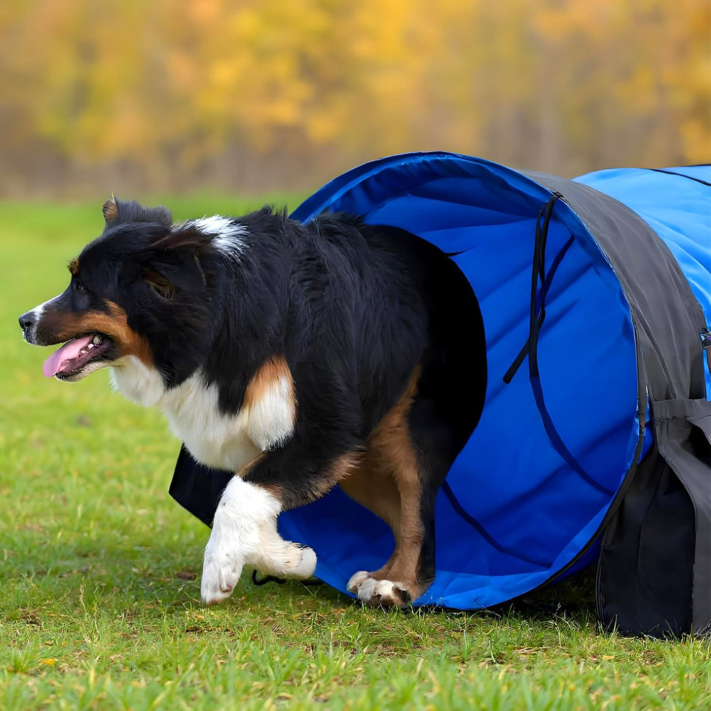 Briwooody foldable tunnel for easy transport and storage.