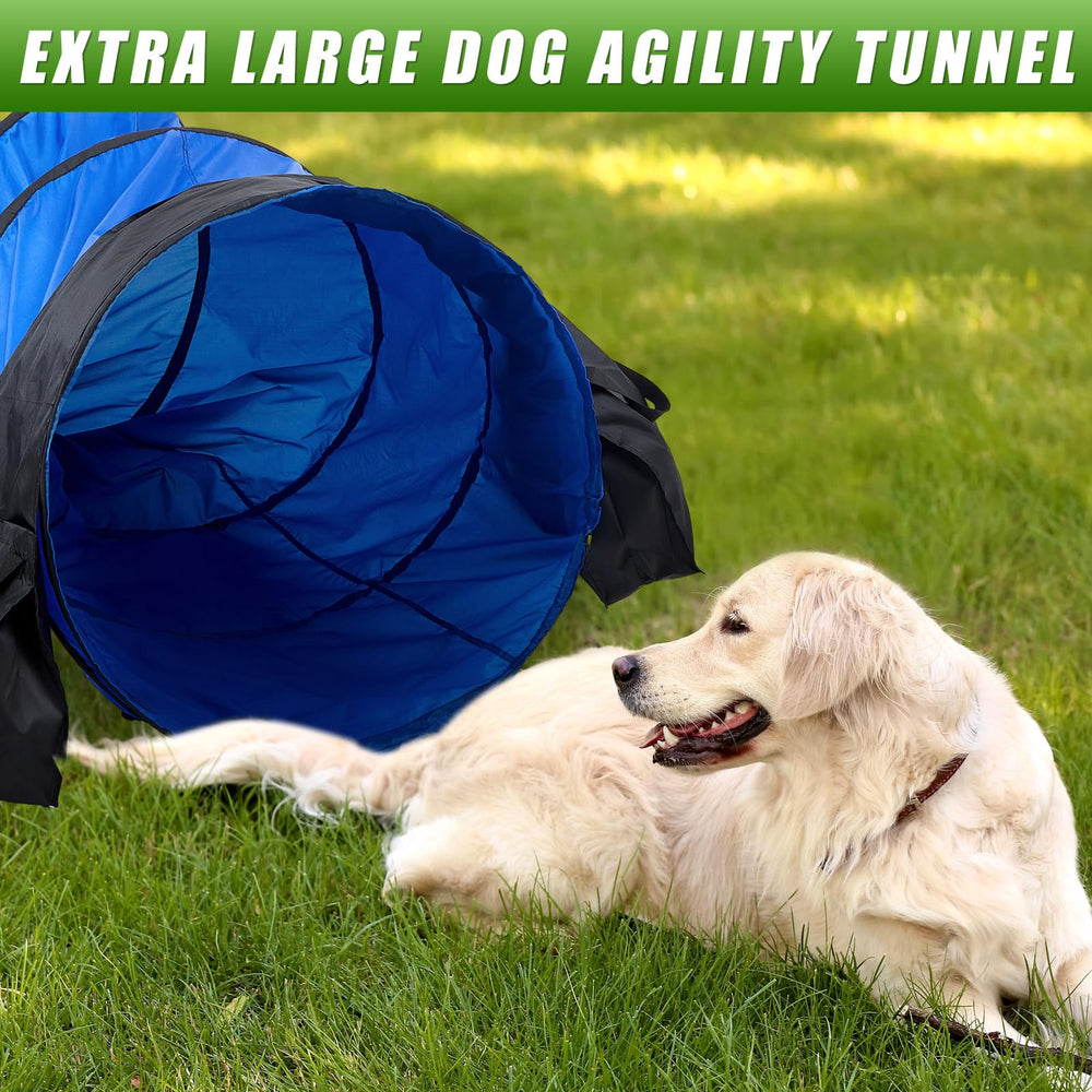 Briwooody indoor/outdoor agility training for large breeds.