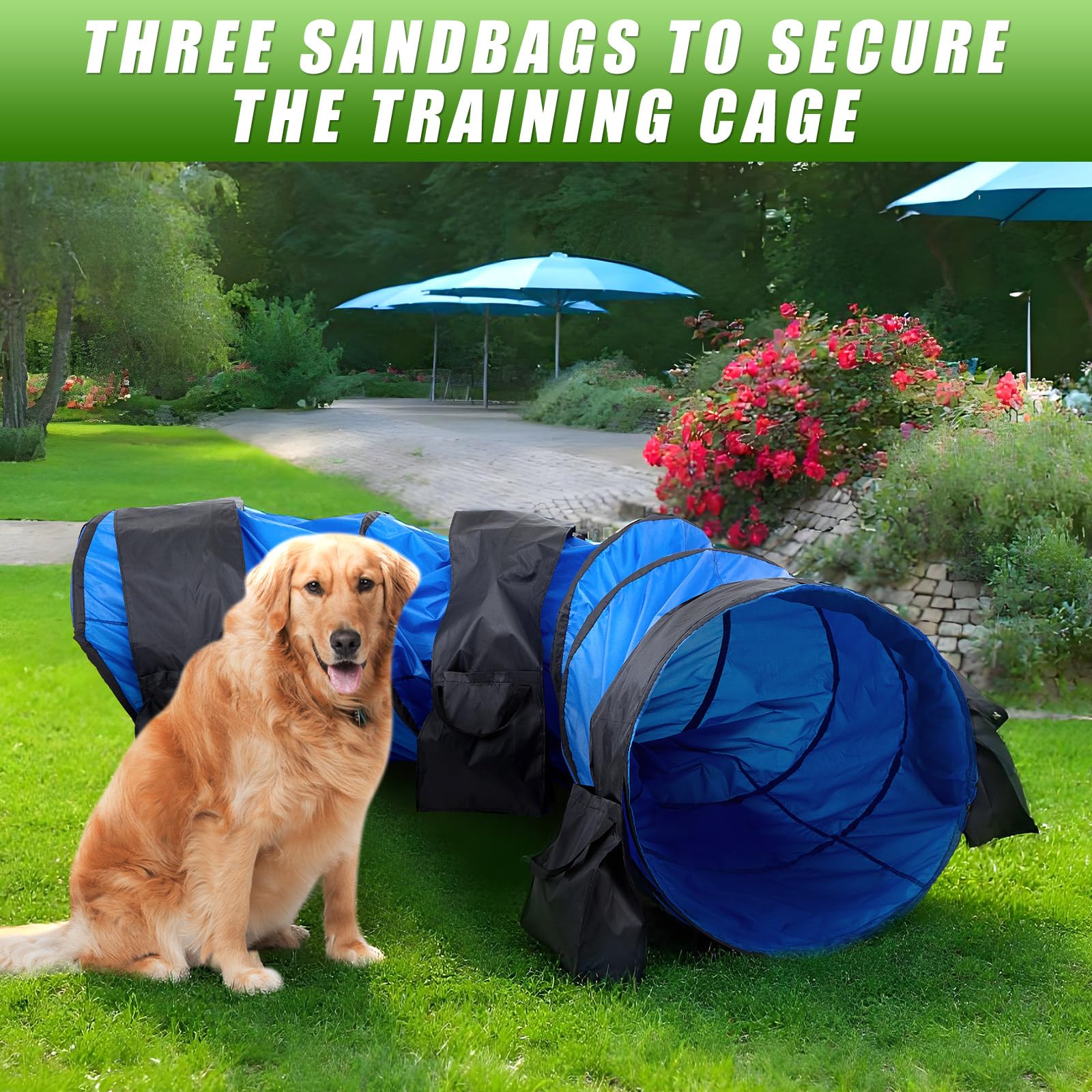 Briwooody carry bag included for on-the-go training sessions.