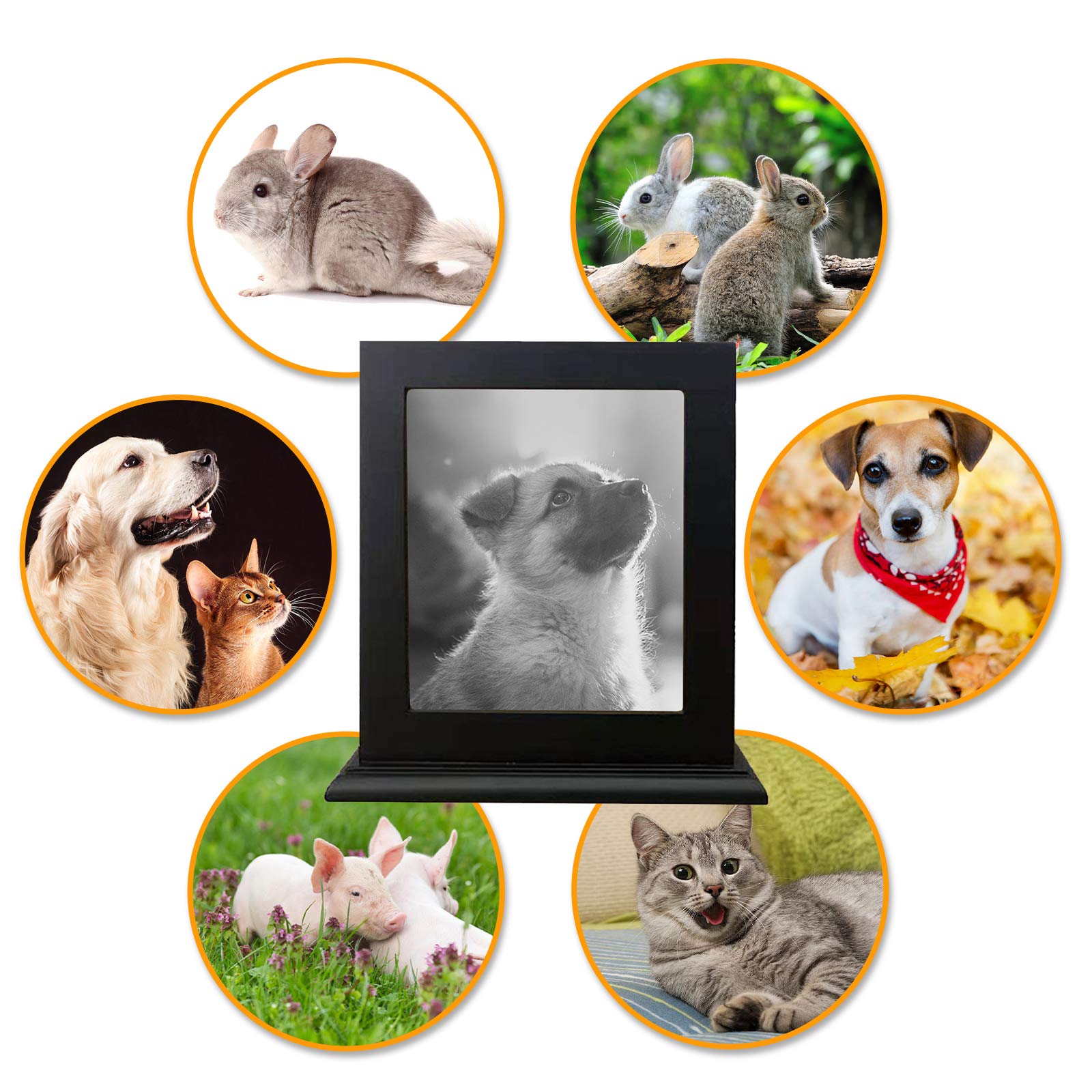 BRKURLEG Pet Wood Memorial Urn acrylic photo protector keeps image clear