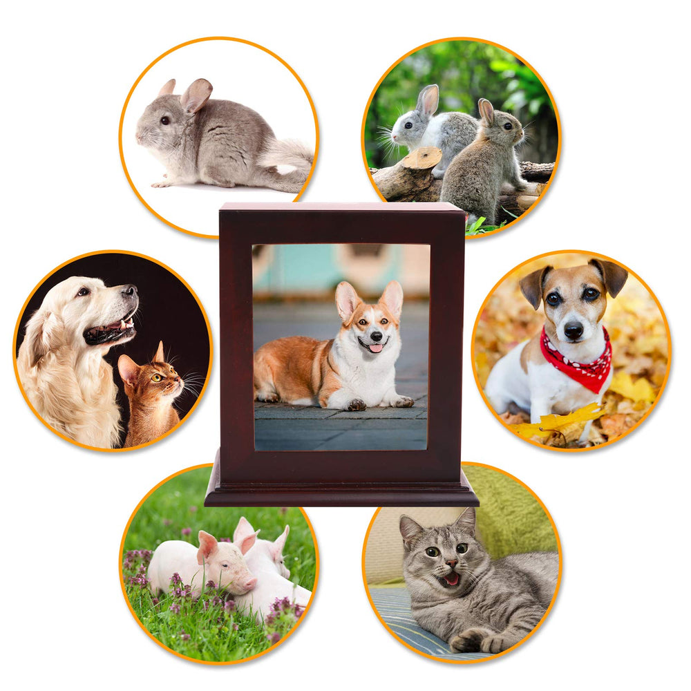 BRKURLEG handmade wood pet casket serves as a sacred memorial.