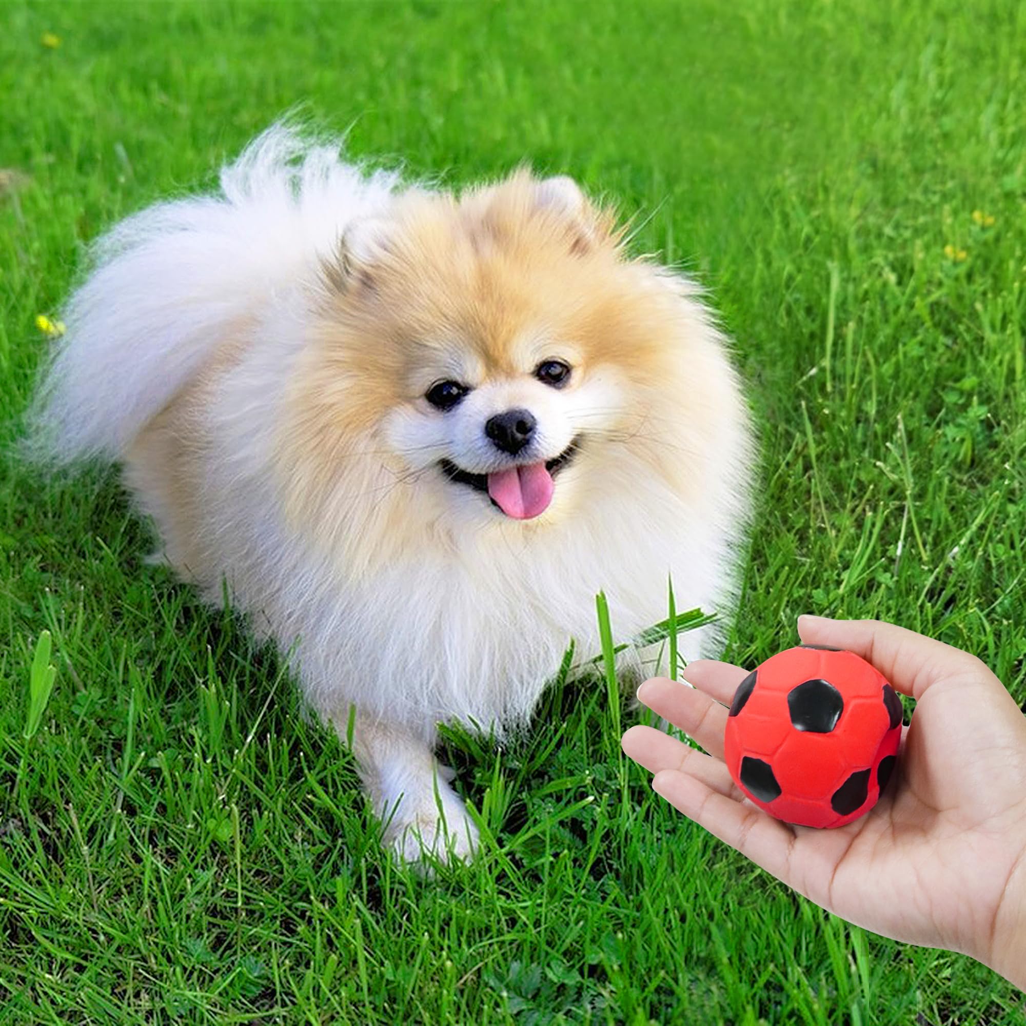 BRMDT bright-colored dog soccer ball pack for outdoor fetch visibility
