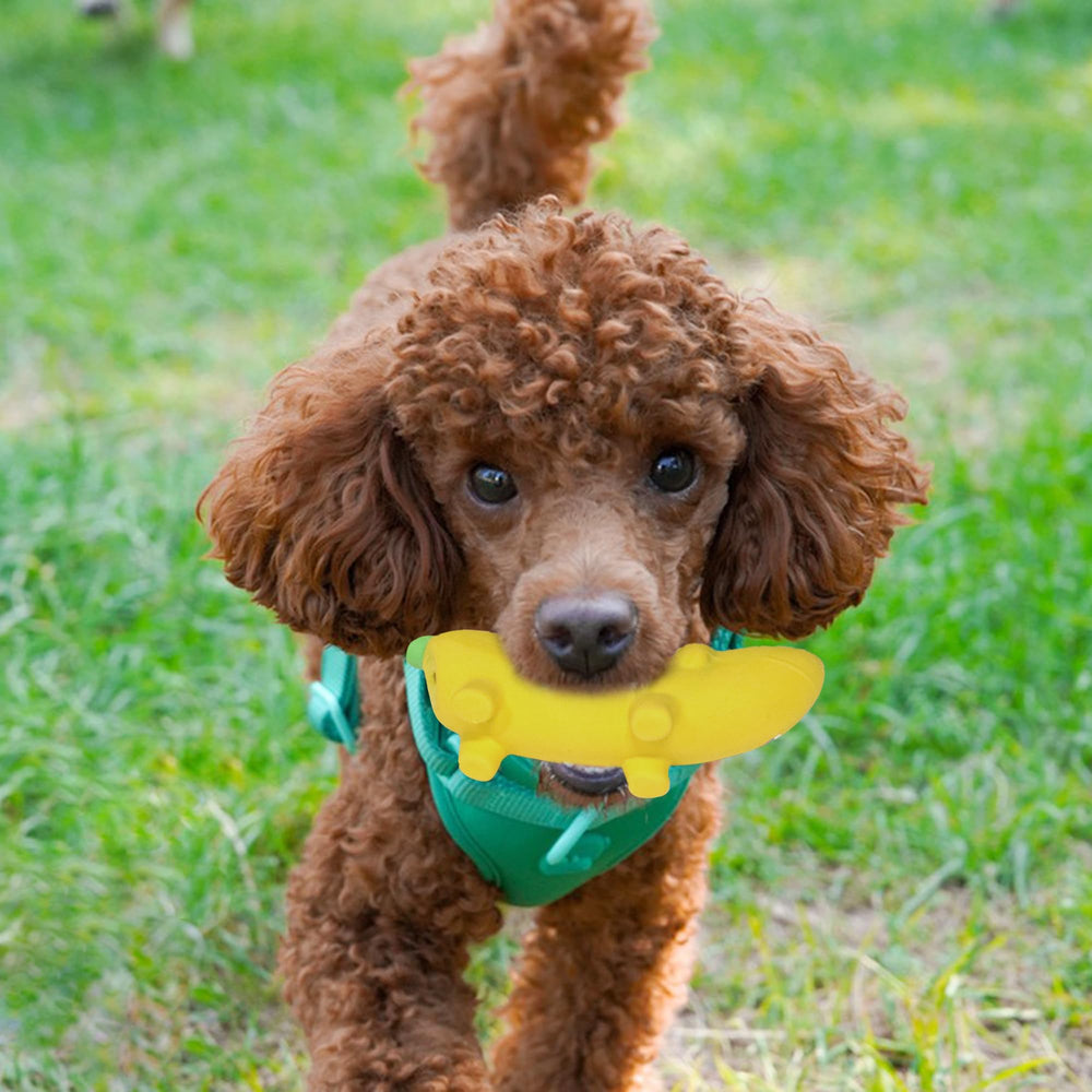 BRMDT chew-safe rubber banana toy with soft interior.