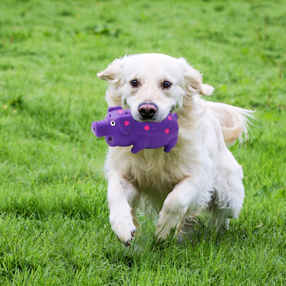 BRMDT Squeaky Pig Toy 3-pack provides engaging chew options.