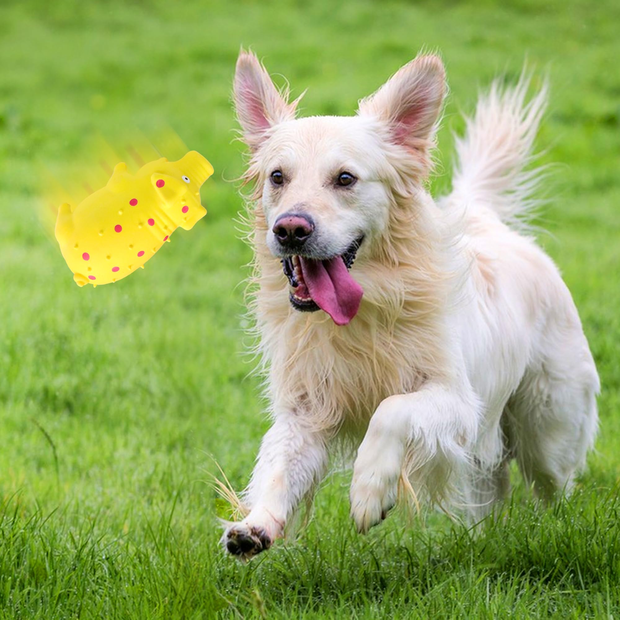 BRMDT Squeaky Pig Toy suitable for indoor and outdoor fun with durable latex.