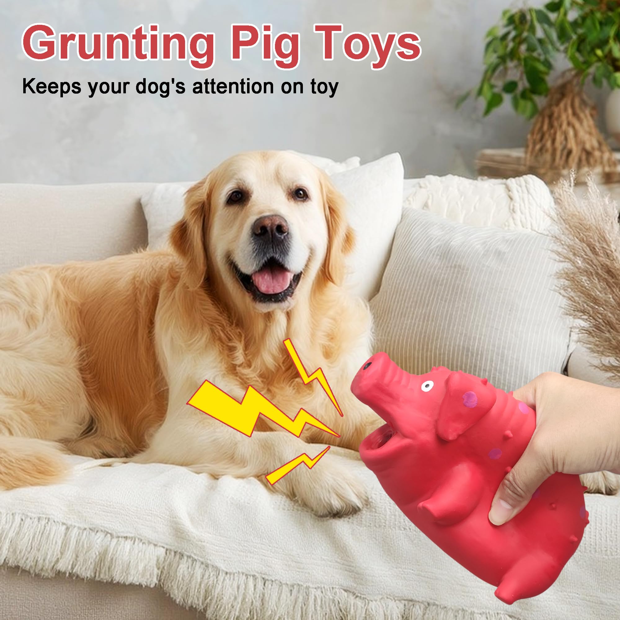 BRMDT Squeaky Pig Toy floats on water for versatile play.