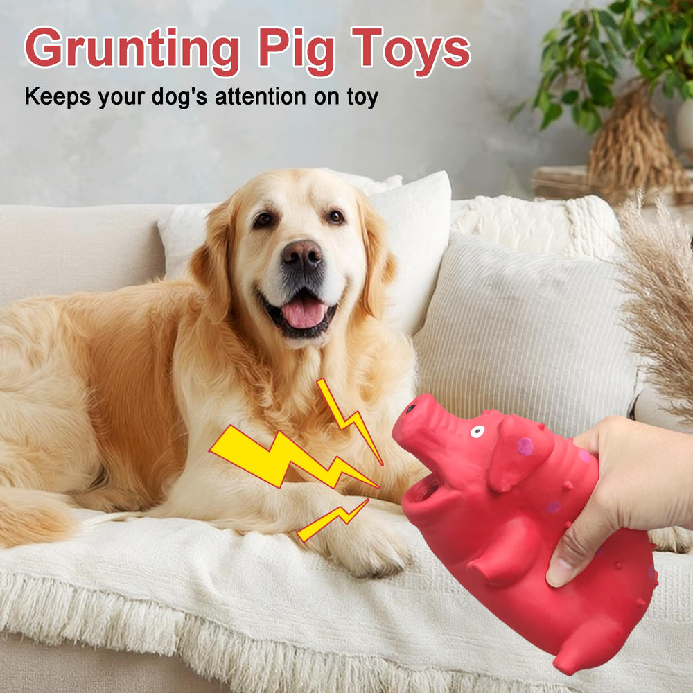 BRMDT Squeaky Pig Toy floats on water for versatile play.