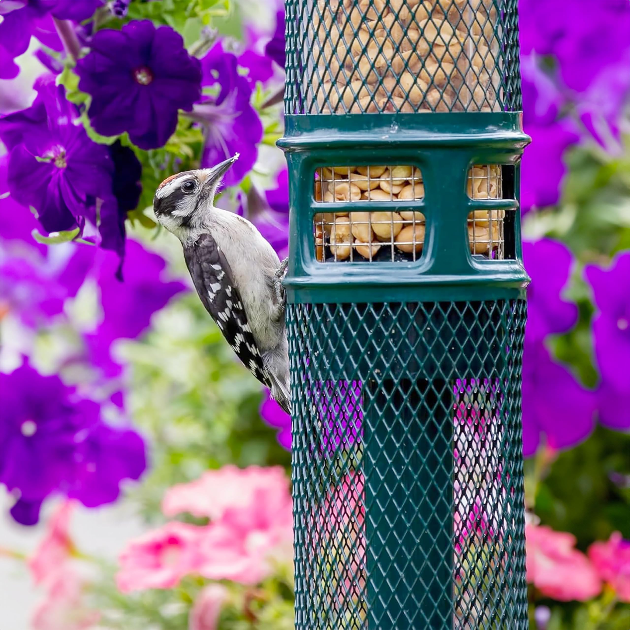 Brome Squirrel Buster Nut Feeder no-mess design keeps ground clean.
