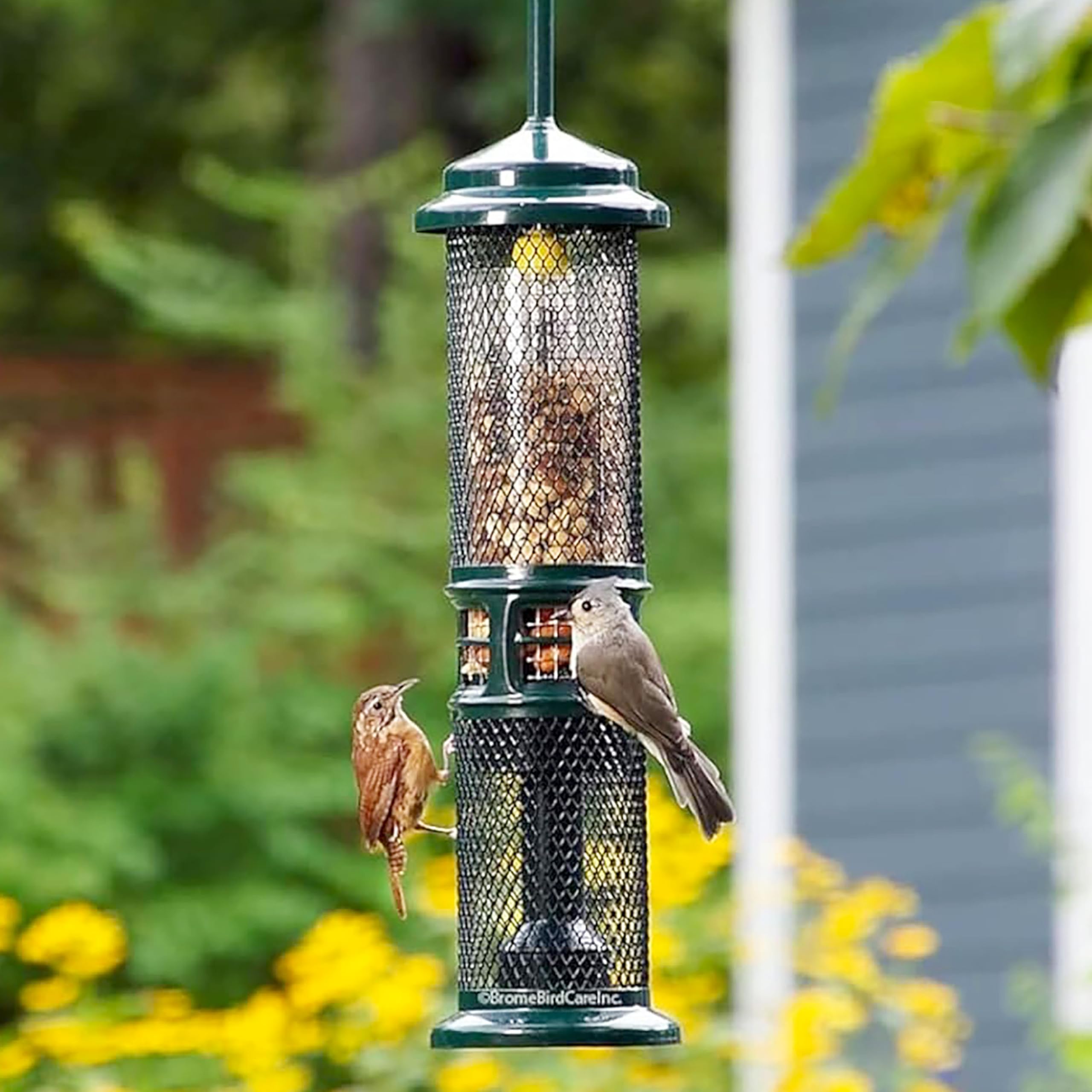 Brome Squirrel Buster Nut Feeder shelled nuts and dried fruit reduce mess.