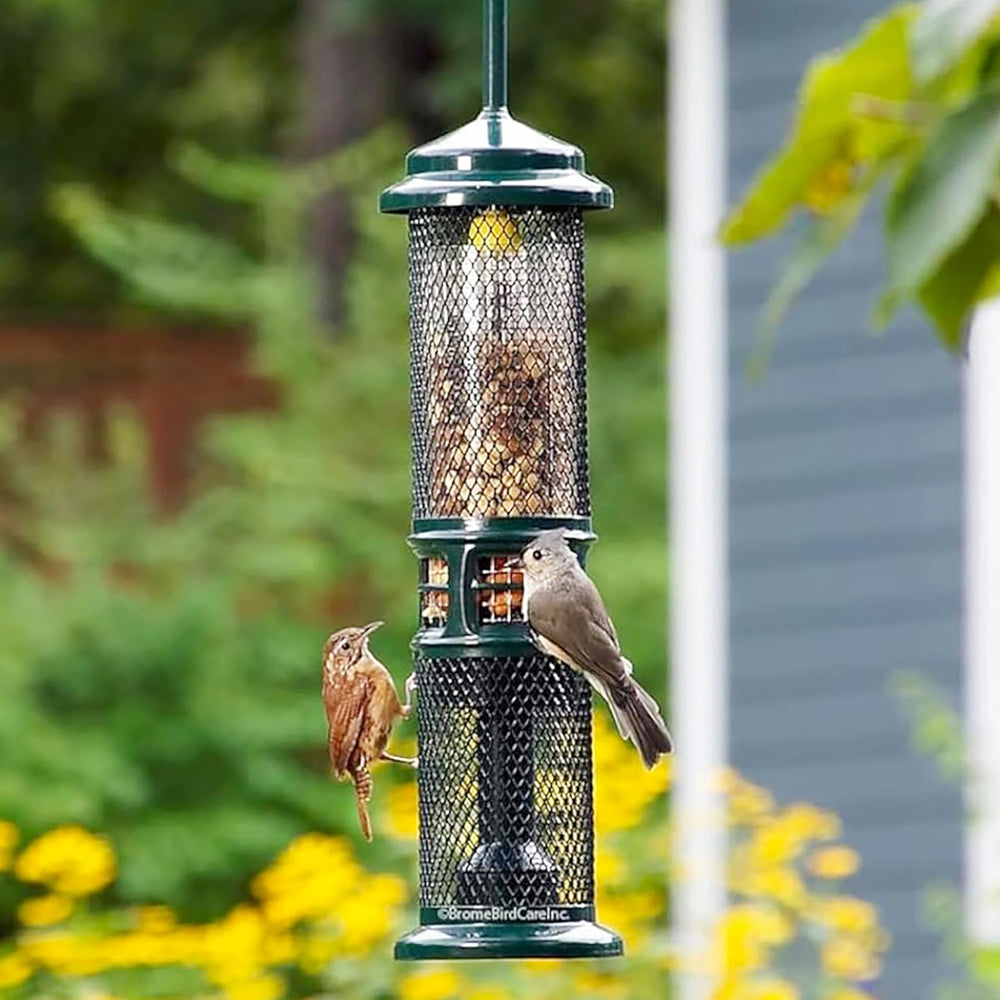 Brome Squirrel Buster Nut Feeder shelled nuts and dried fruit reduce mess.
