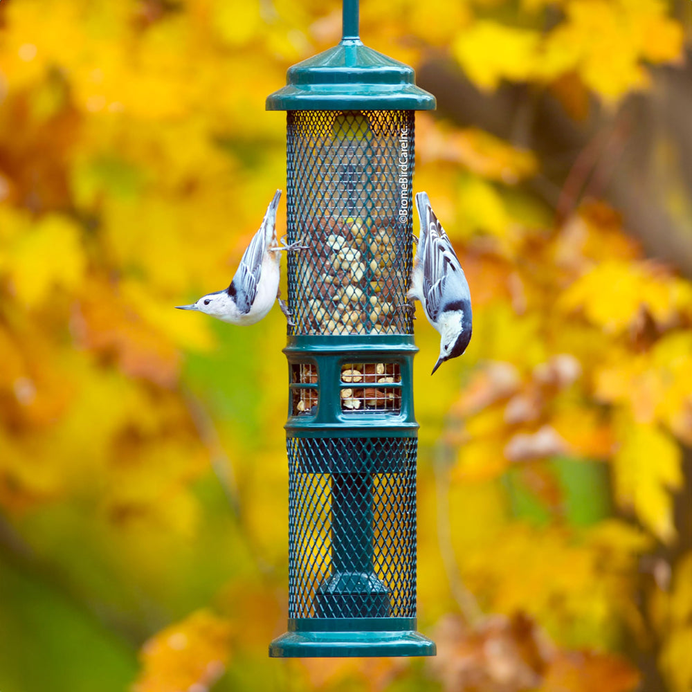 Brome Squirrel Buster Nut Feeder shroud opens and closes to deter squirrels.