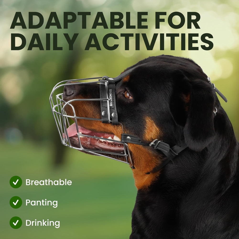 BRONZEDOG muzzle allows drinking while worn for practicality