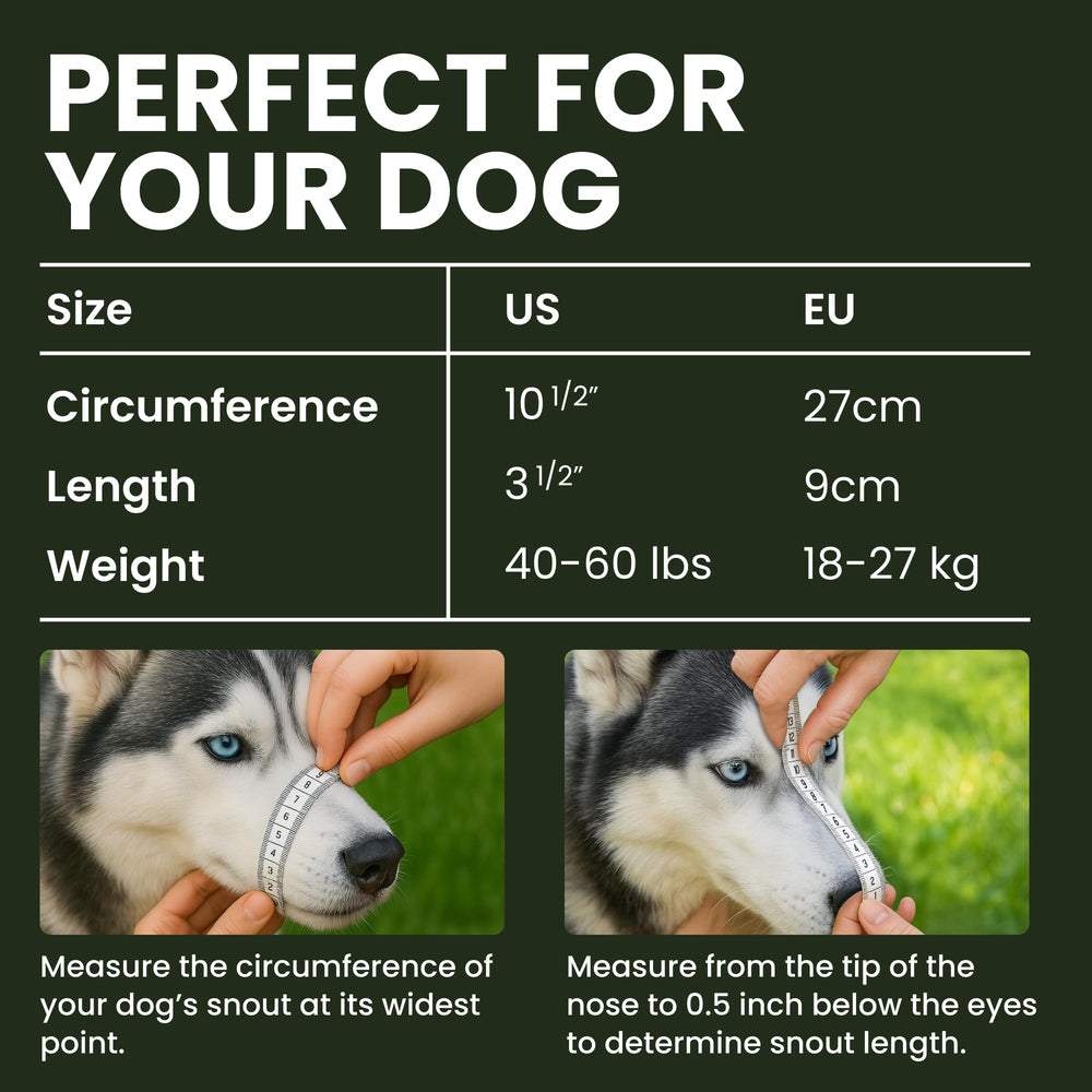 BRONZEDOG dog muzzle with leather straps offers comfortable secure fit for daily wear.