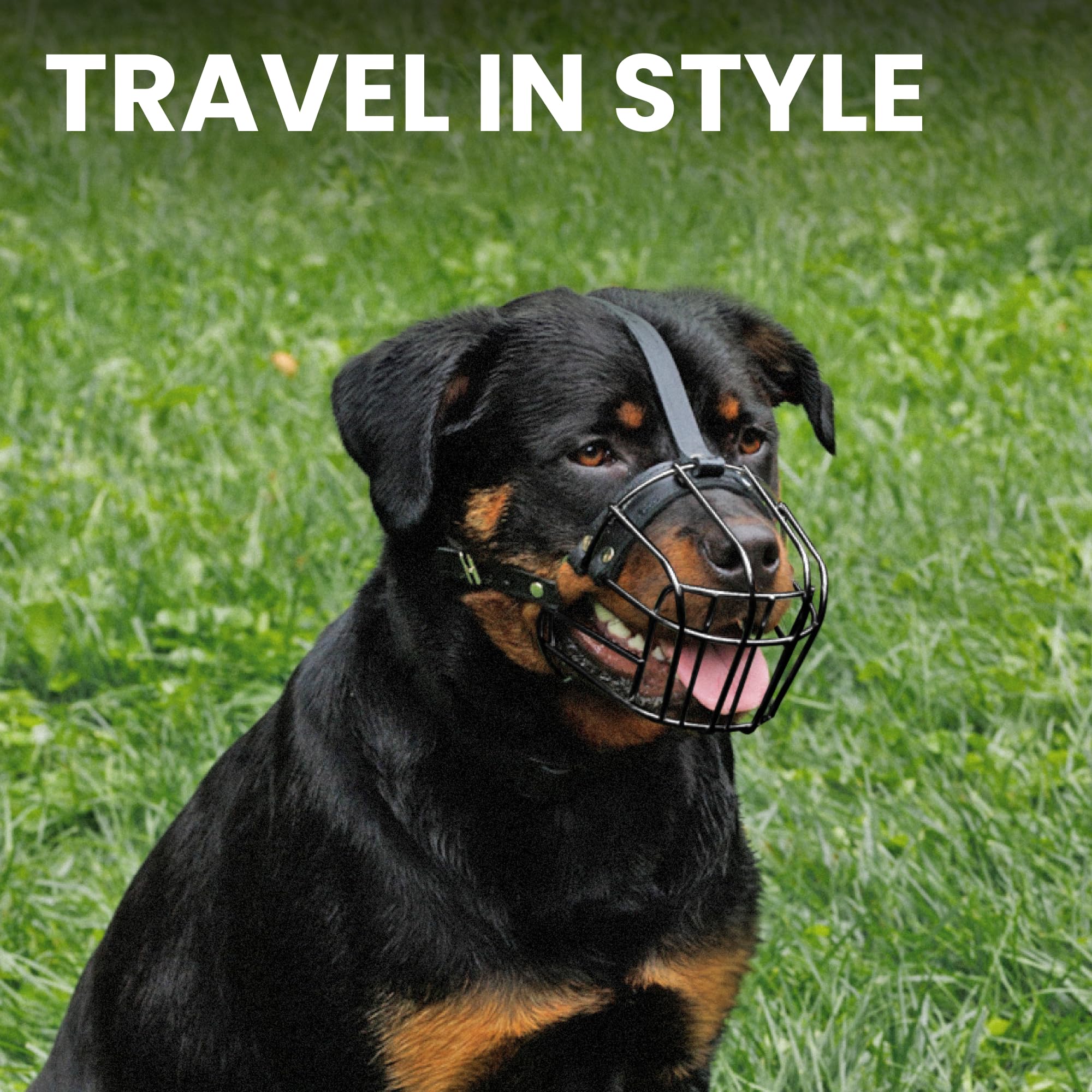 BRONZEDOG size-large-xl muzzle suited for big breeds.