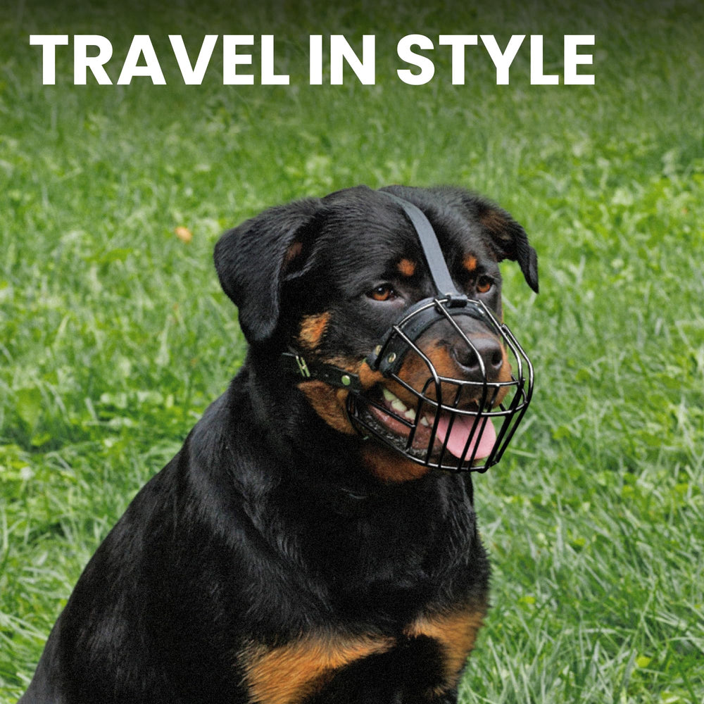 BRONZEDOG size-large-xl muzzle suited for big breeds.
