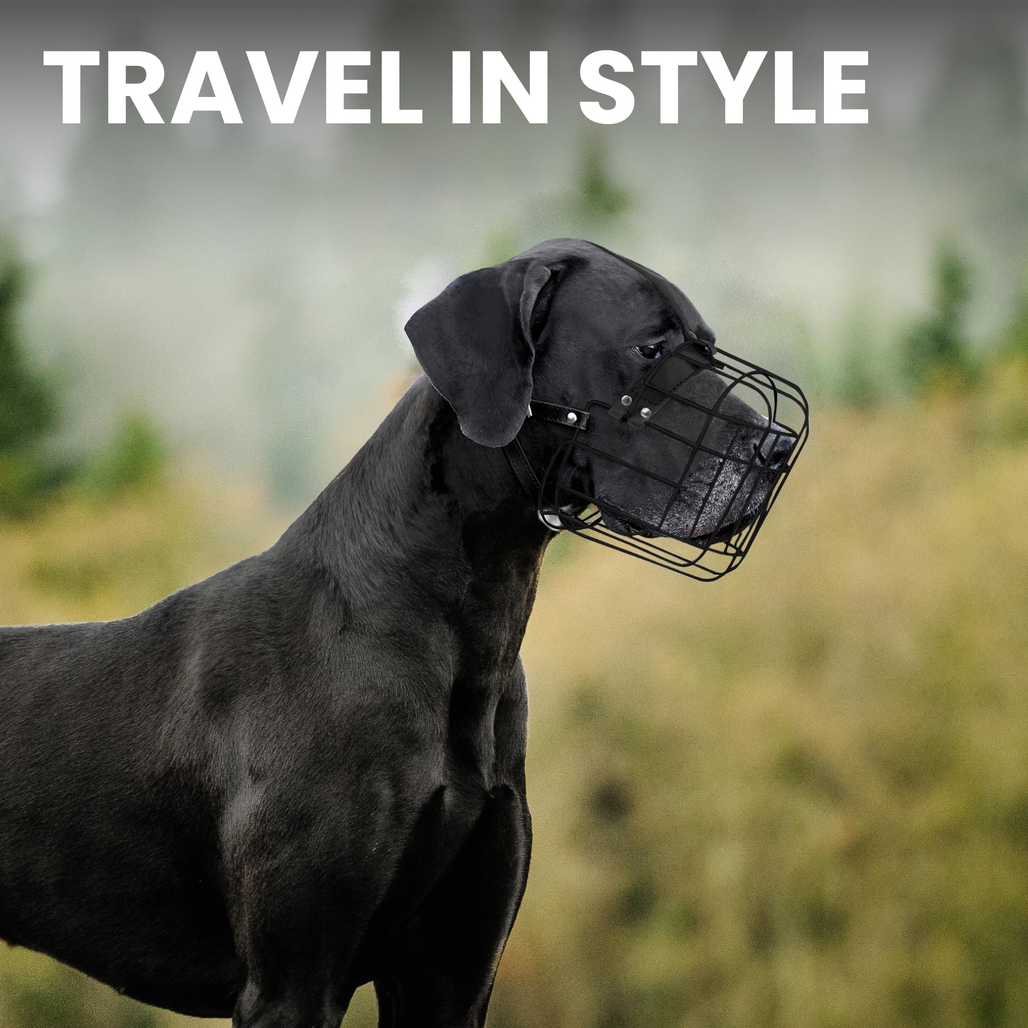 BRONZEDOG four-strap adjustment for a comfortable fit