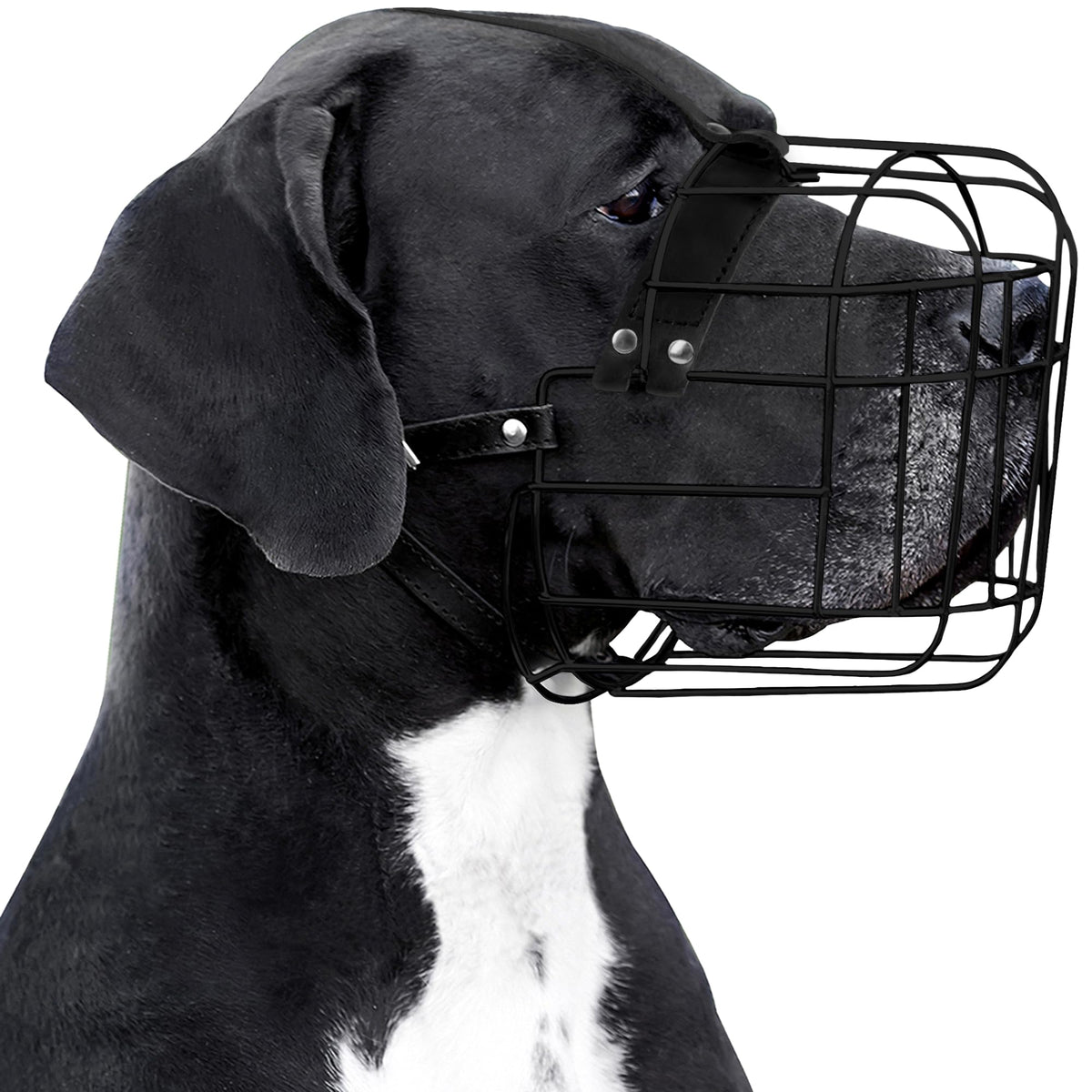 BRONZEDOG large dog muzzle with adjustable straps for secure walking
