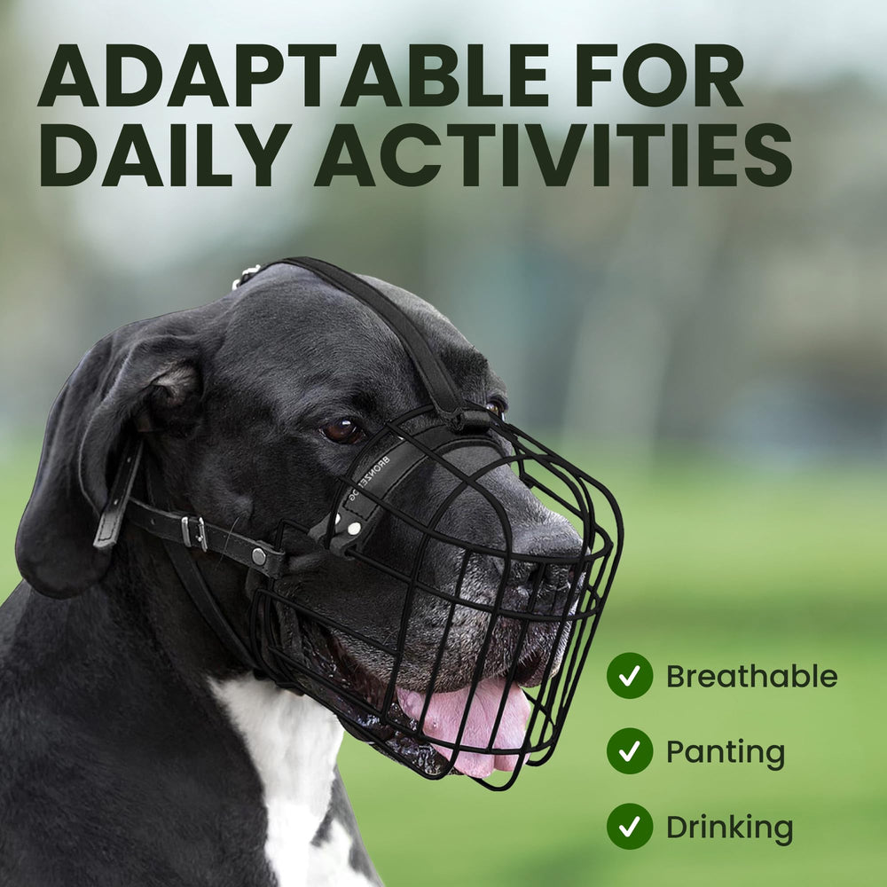 BRONZEDOG muzzle allowing drinking and panting on walks