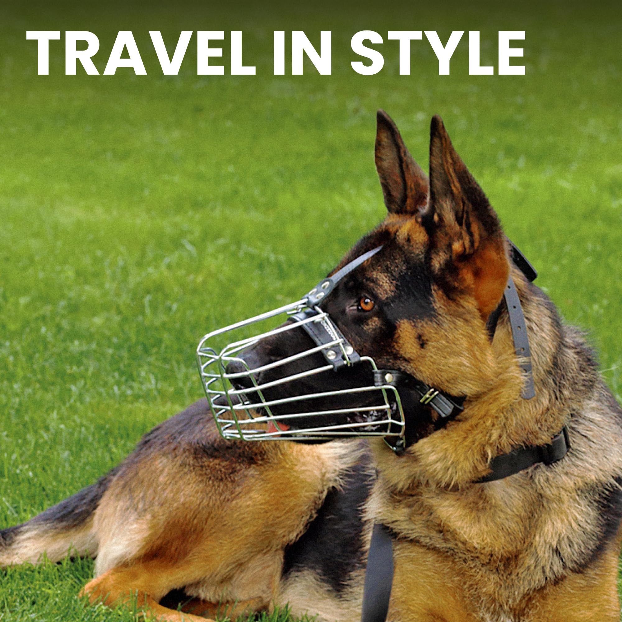 BronzeDog durable metal construction contrasted with fabric options
