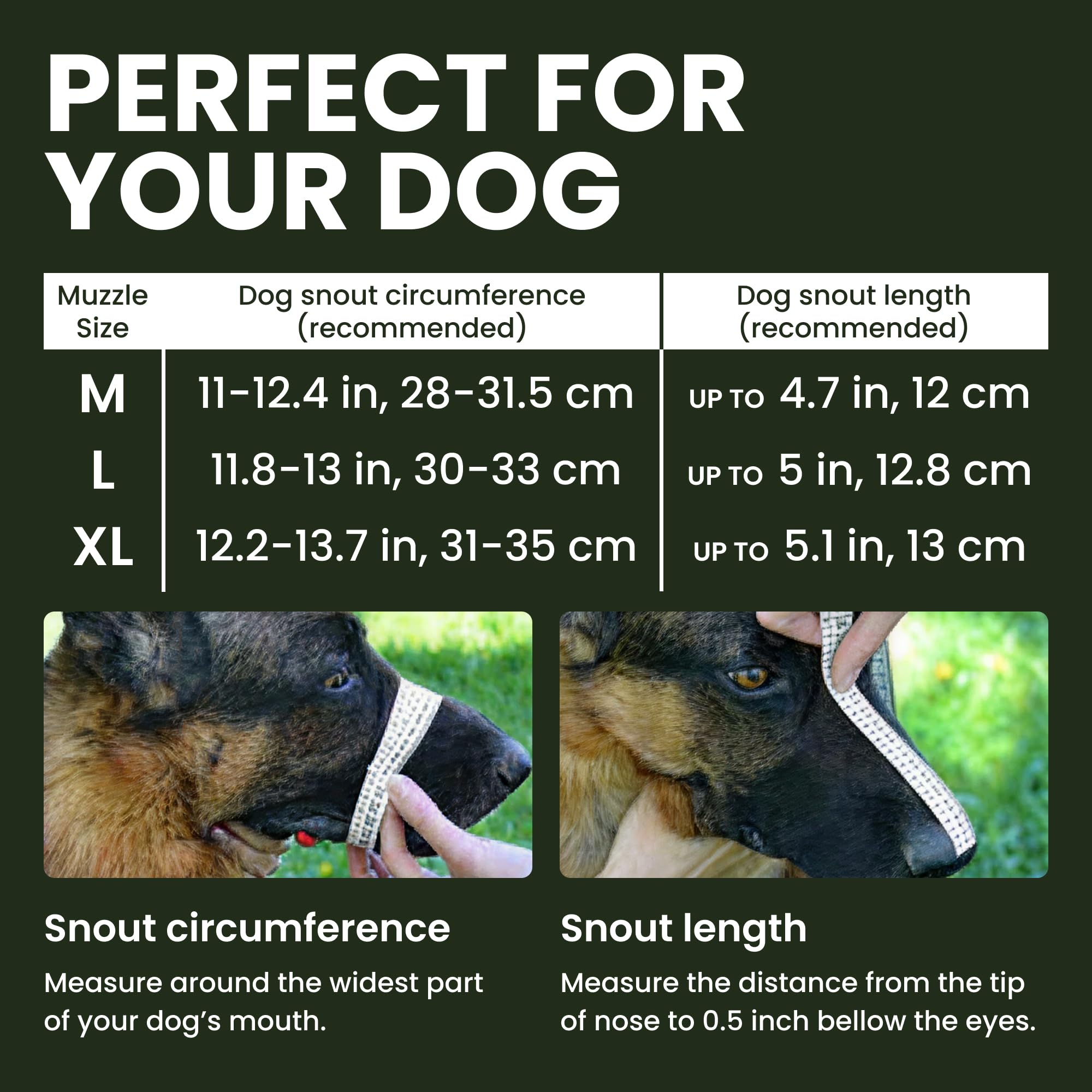 BronzeDog XL size guide showing snout measurements