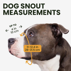 BRONZEDOG Pitbull Muzzle showing adjustable leather straps for a snug fit on large dogs.