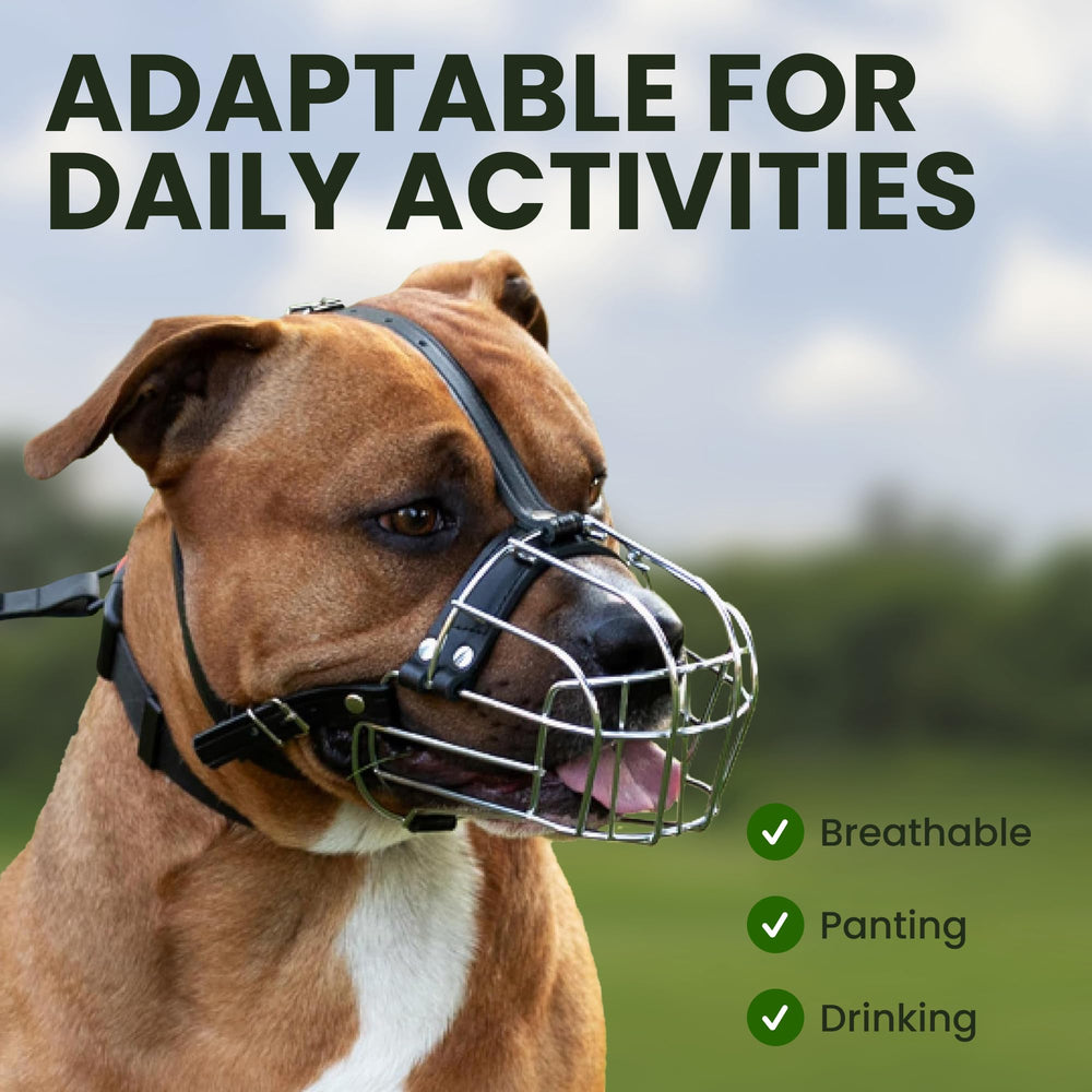 Sturdy stainless steel construction designed for daily use with pets.