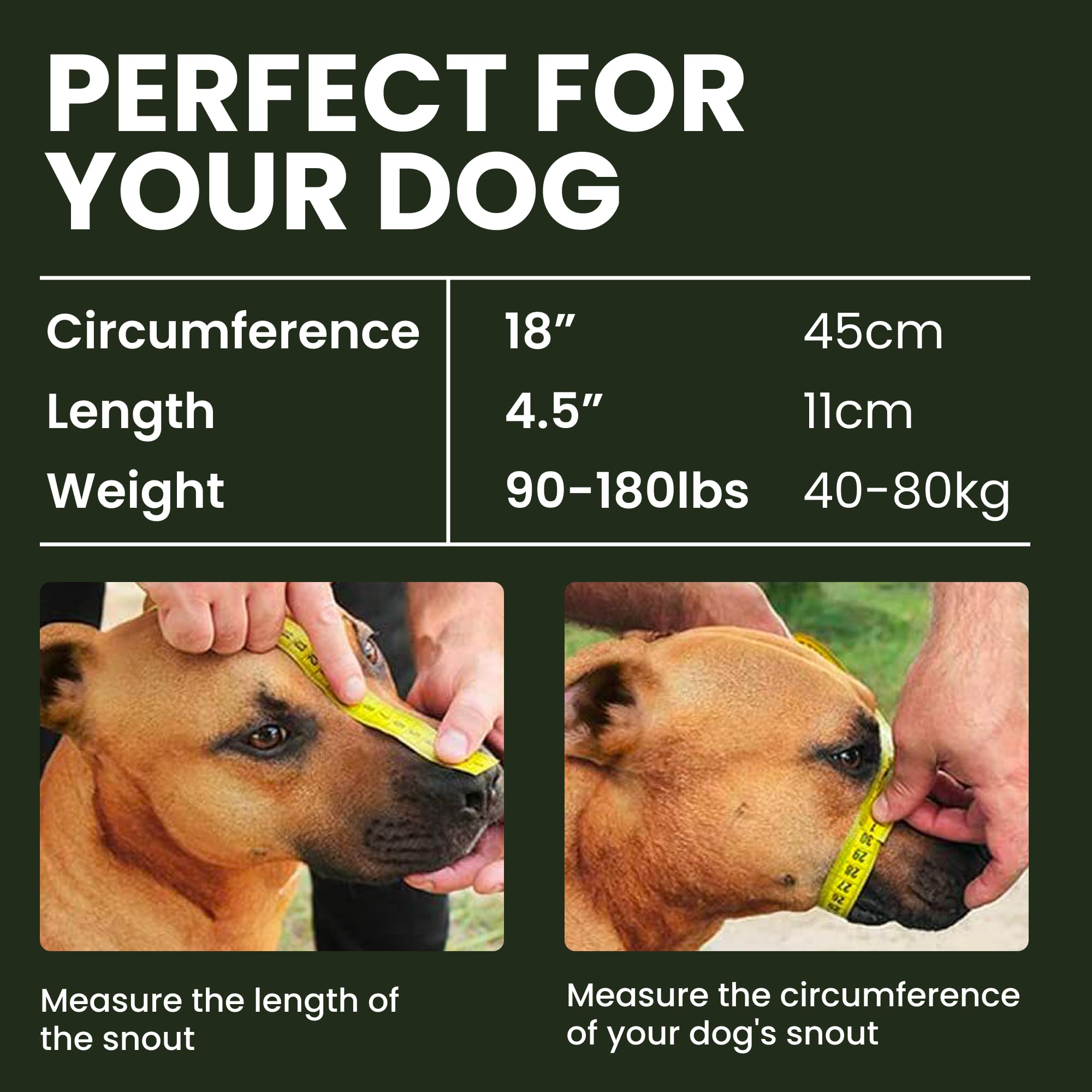 BRONZEDOG PVC basket muzzle showing breathable design during sessions